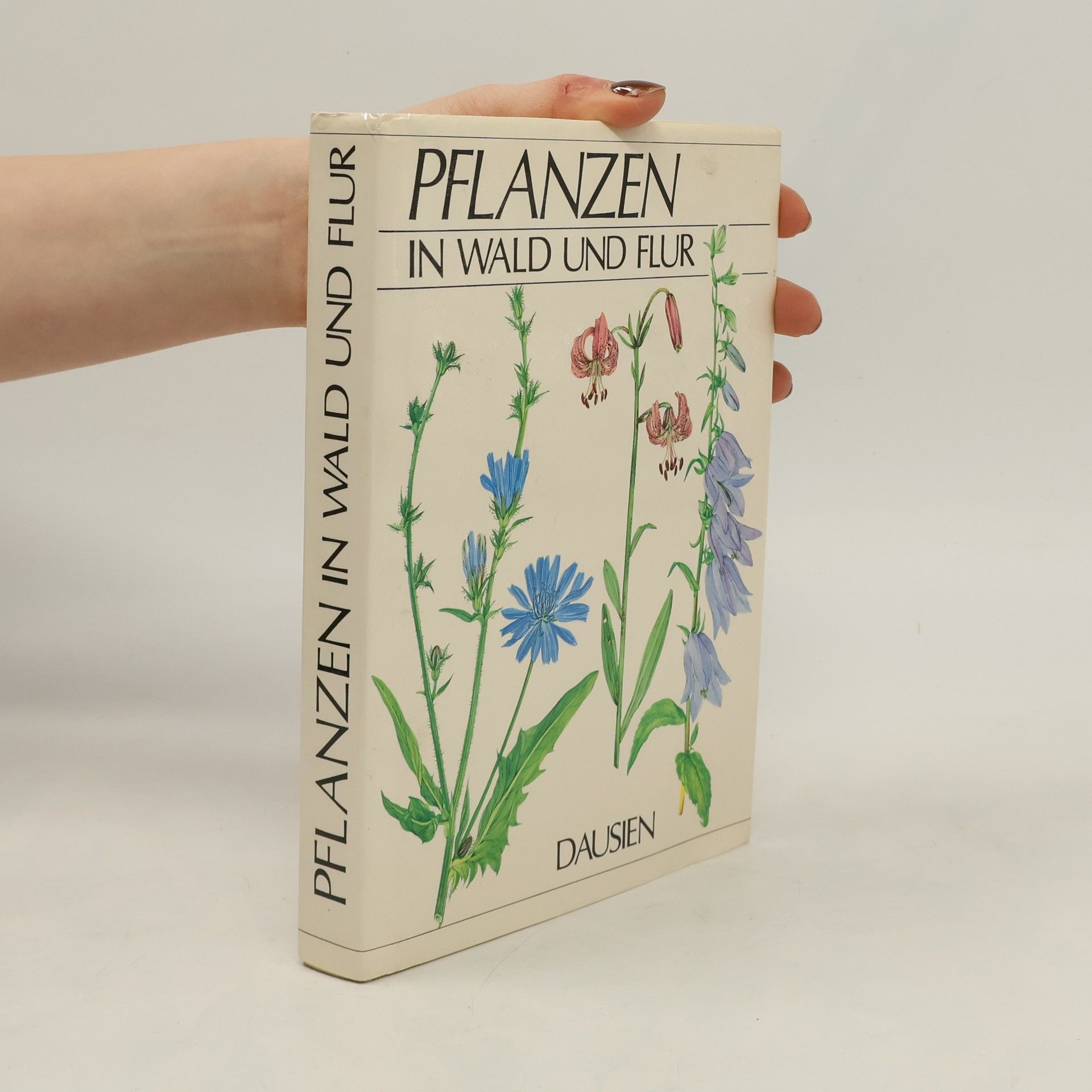 Václav Větvička Pflanzen in Wald und Flur