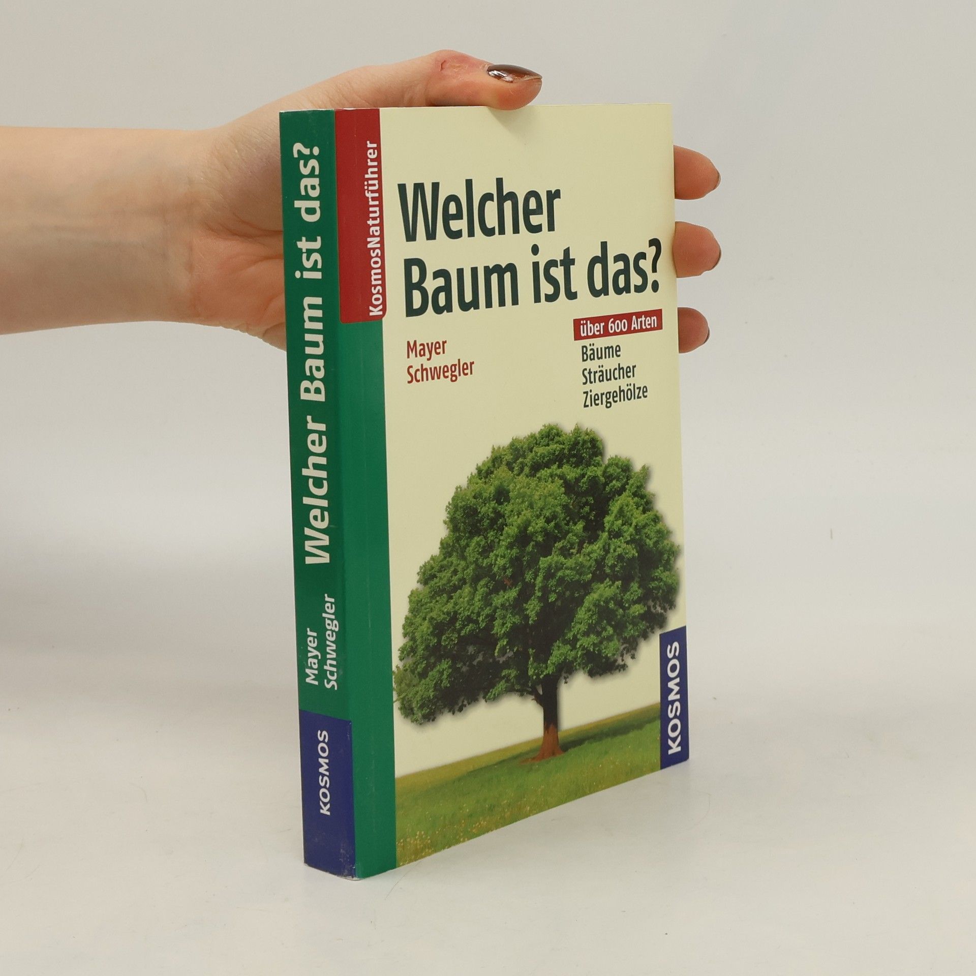 Joachim Mayer Welcher Baum ist das?