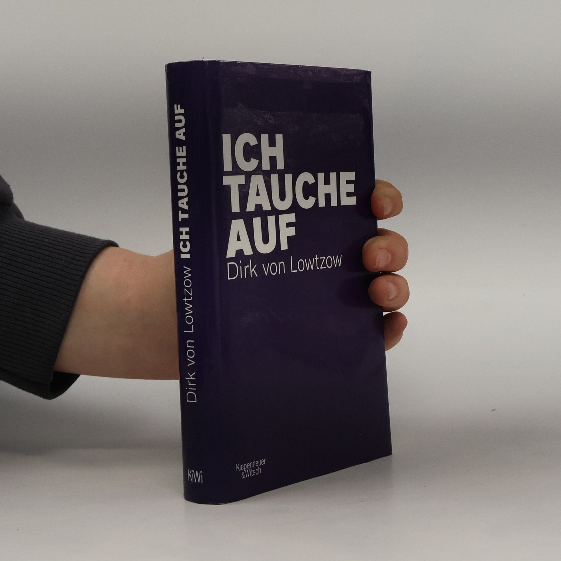 Dirk von Lowtzow Ich tauche auf