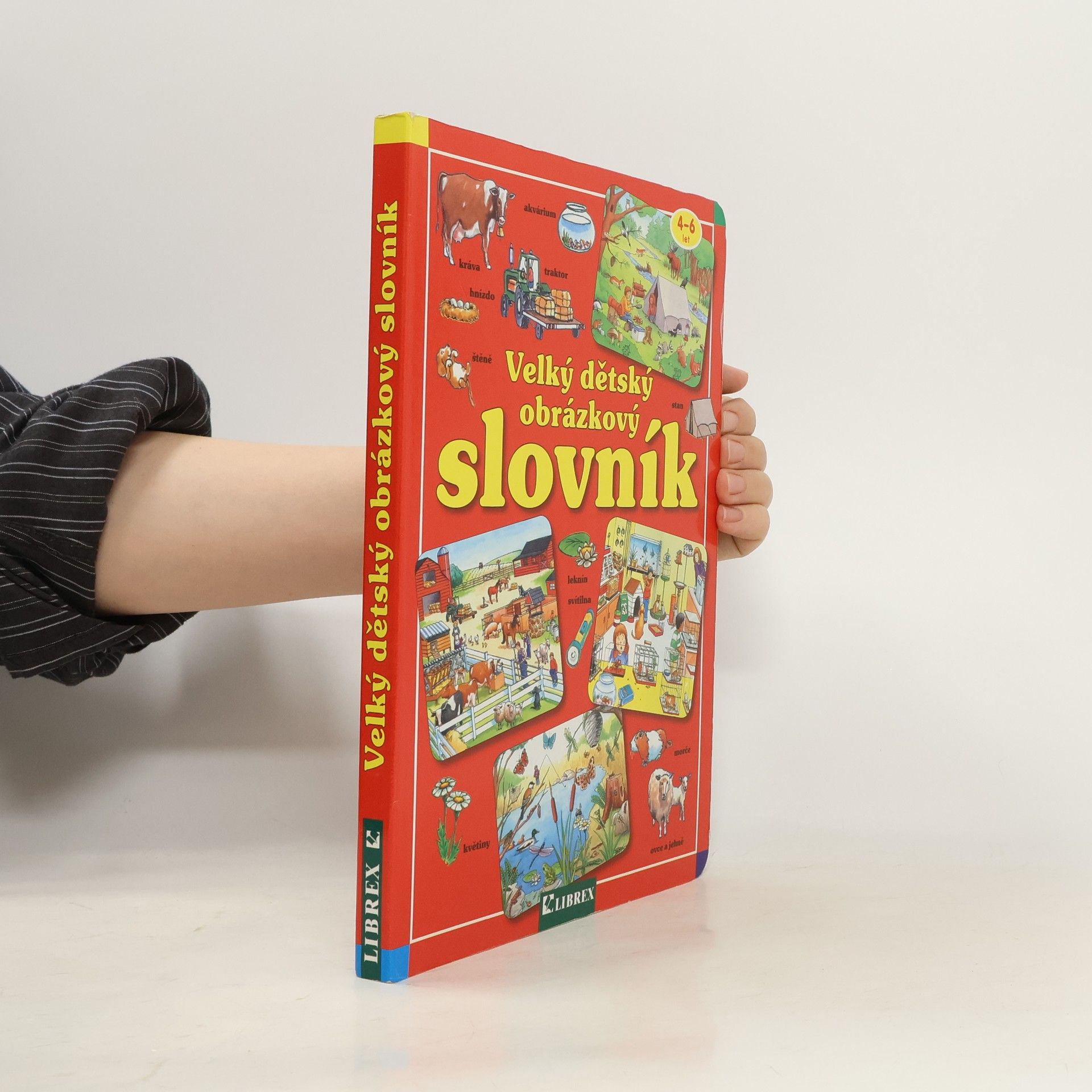 Kolektiv autorů Velký dětský obrázkový slovník