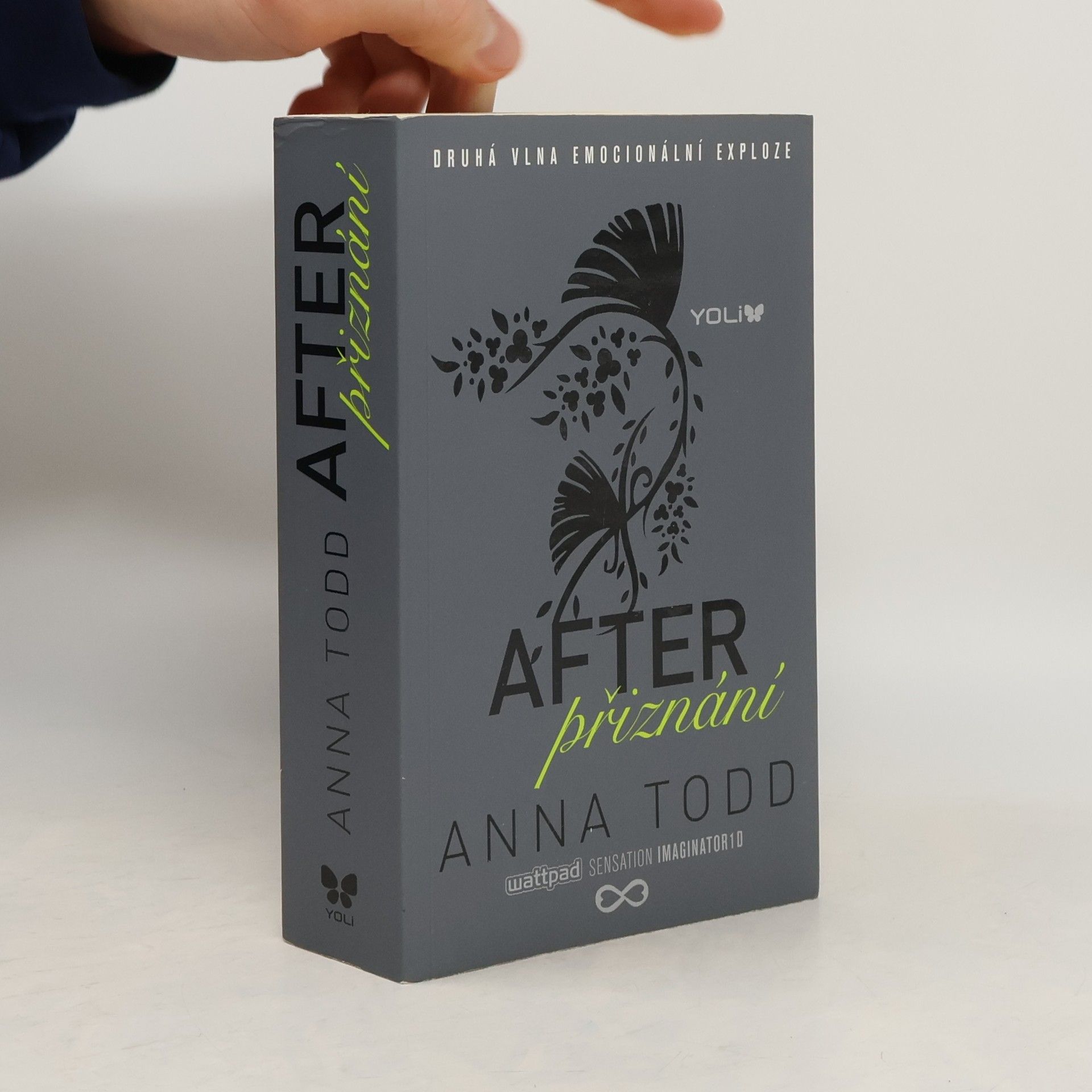 Anna Todd After. Přiznání