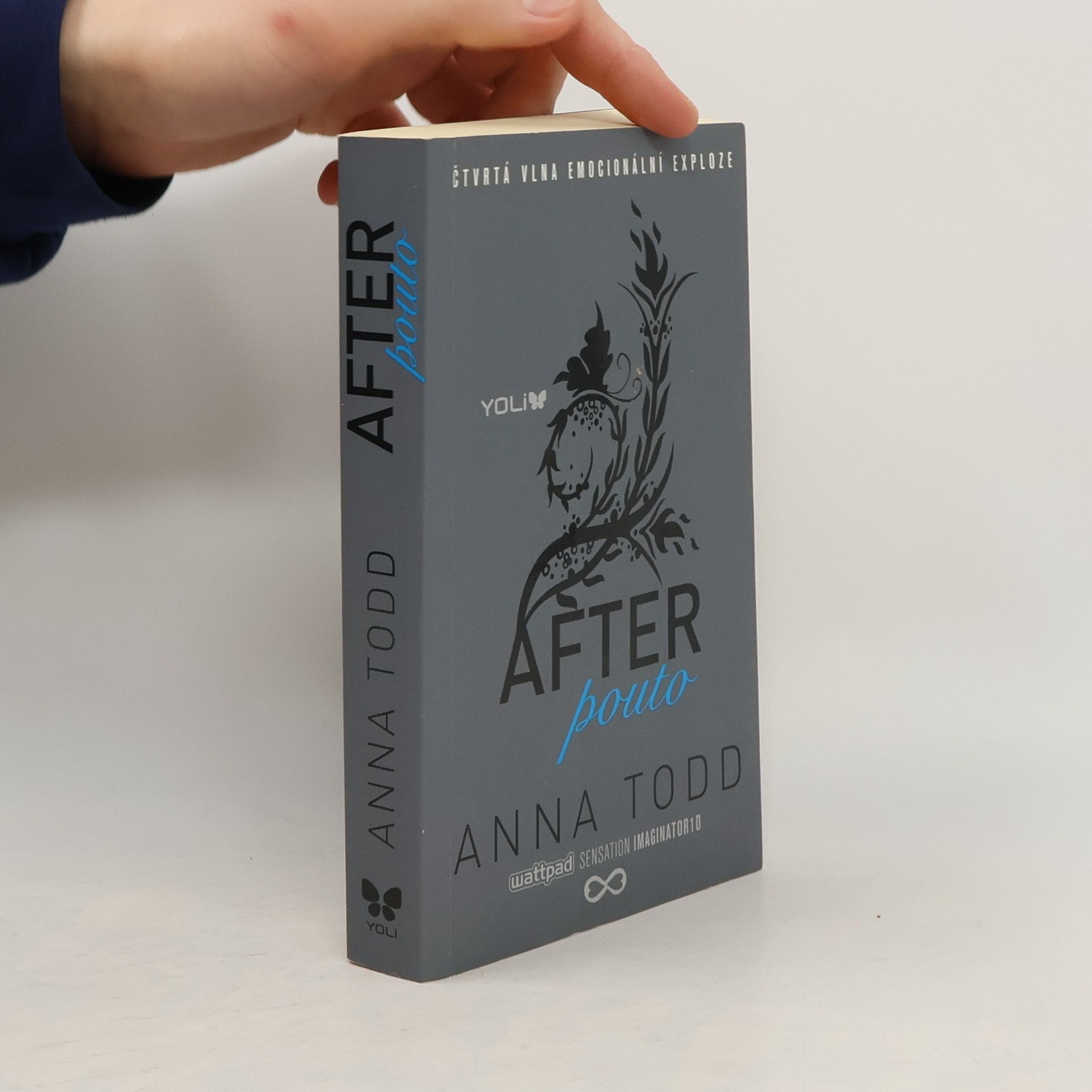 Anna Todd After. Pouto