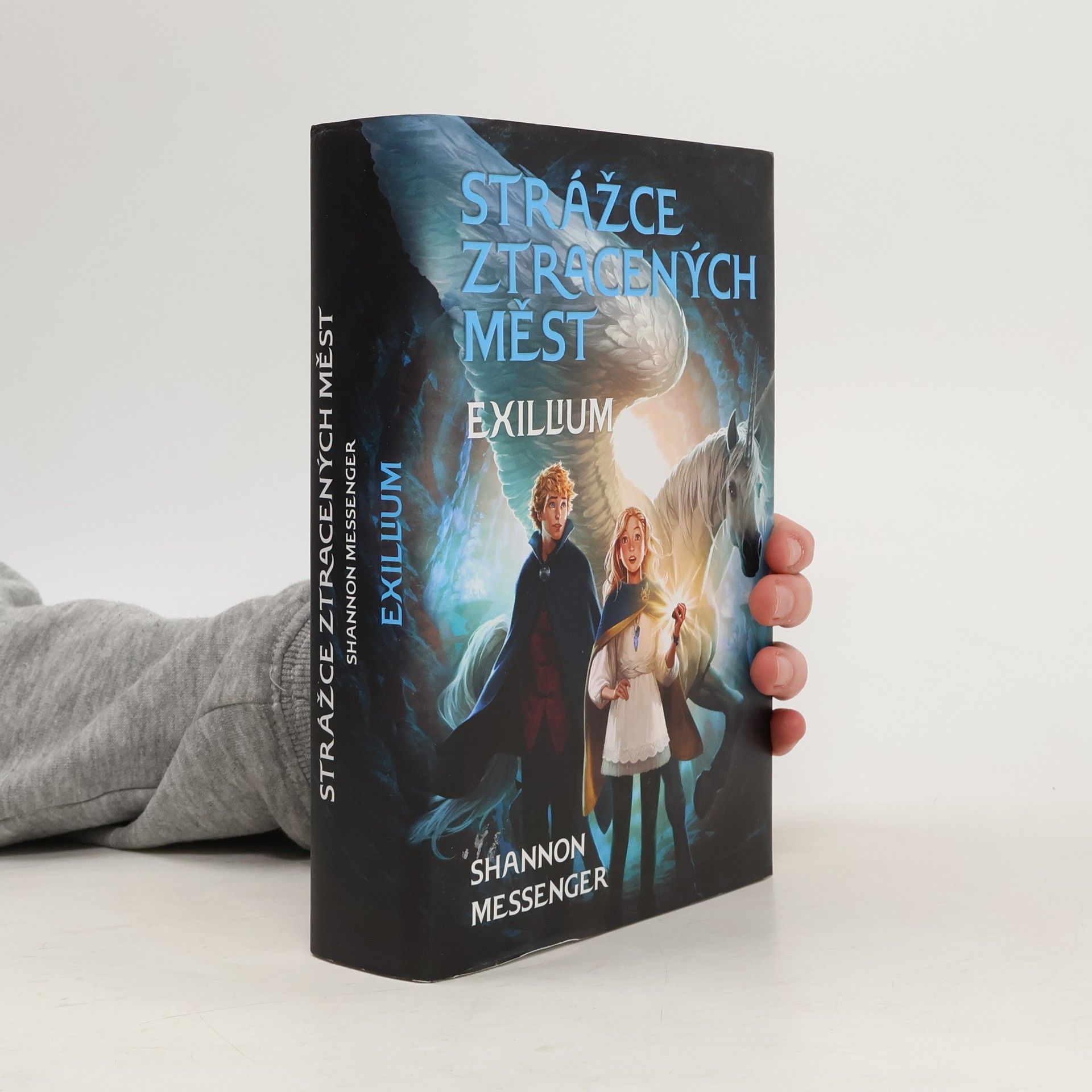 Shannon Messenger Exillium