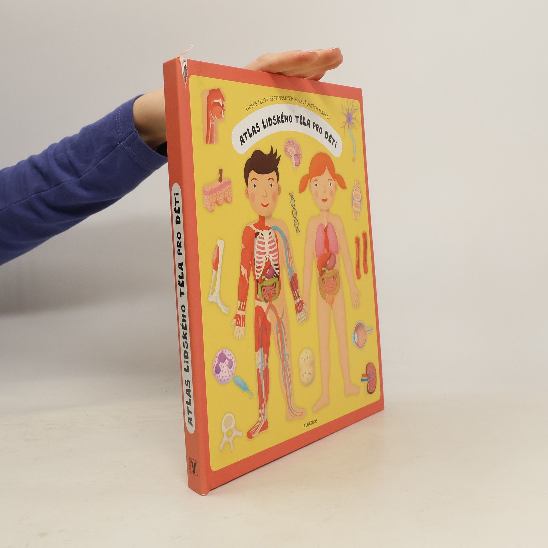 Oldřich Růžička Atlas lidského těla pro děti