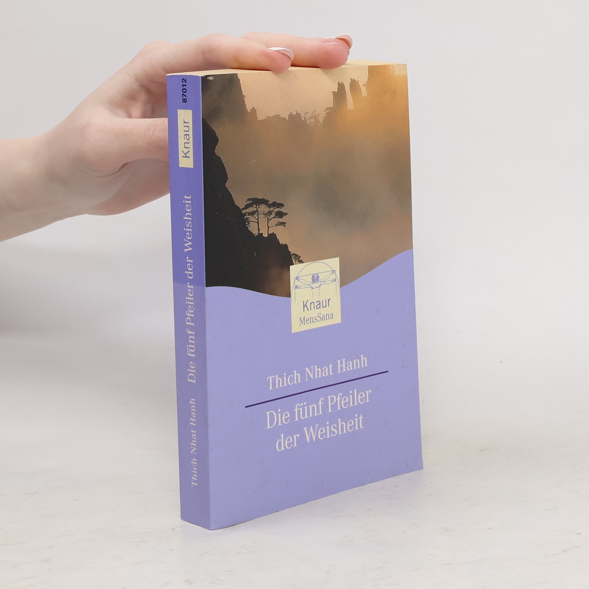 Thích Nhất Hạnh Die fünf Pfeiler der Weisheit
