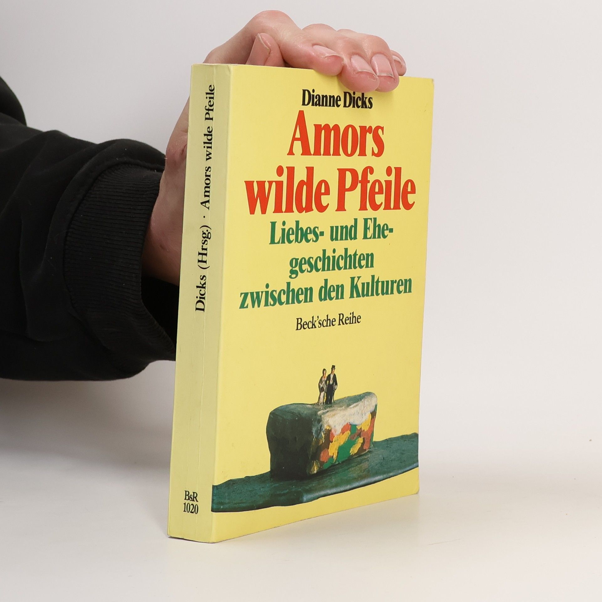 Dianne Dicks Amors wilde Pfeile