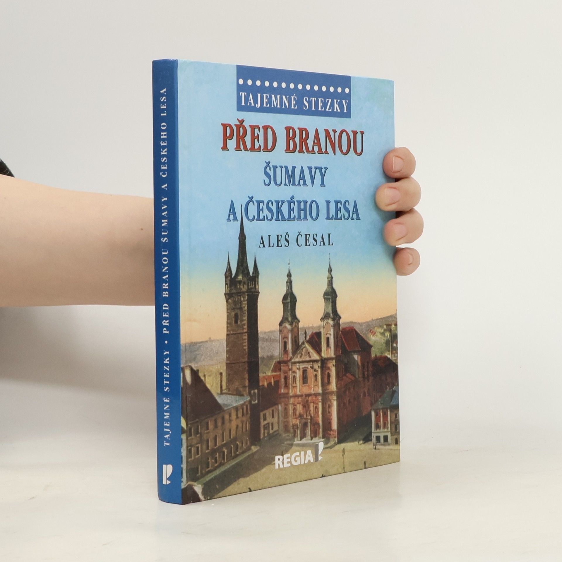 Aleš Česal Před branou Šumavy a Českého lesa