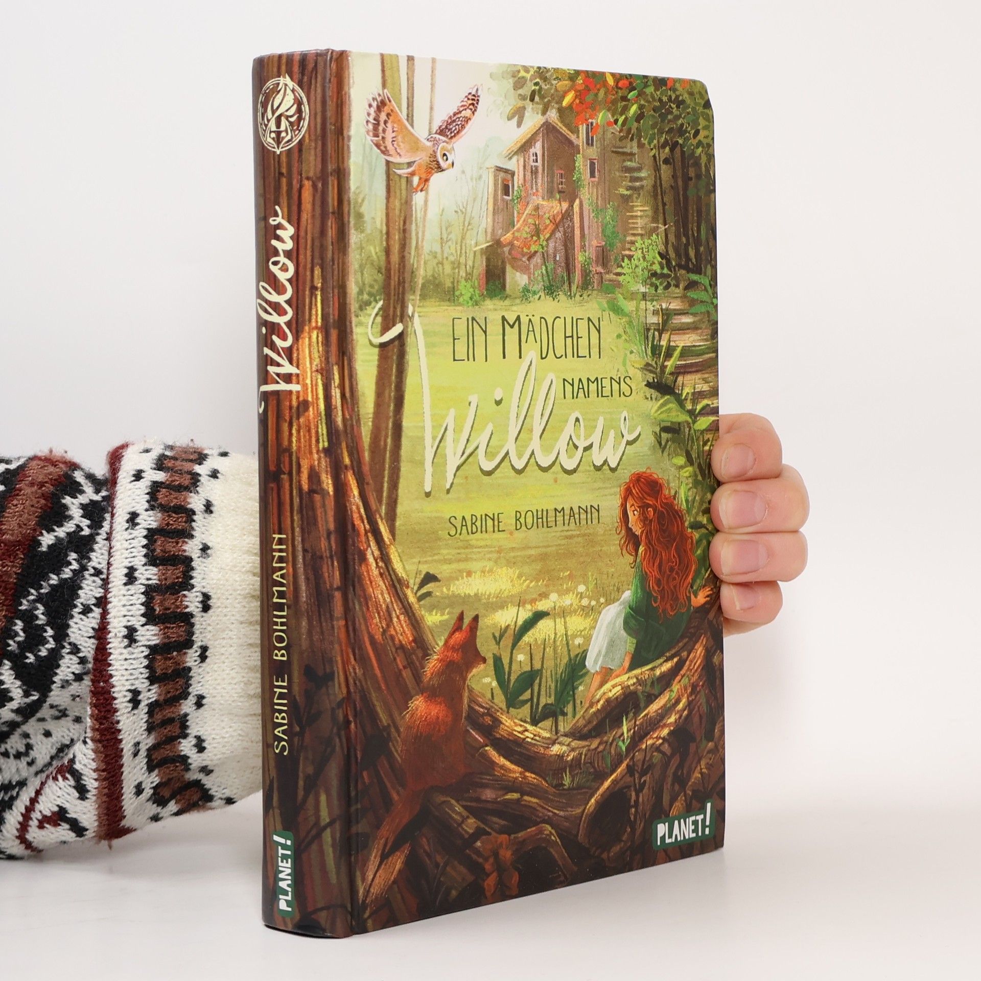 Sabine Bohlmann Ein Mädchen namens Willow