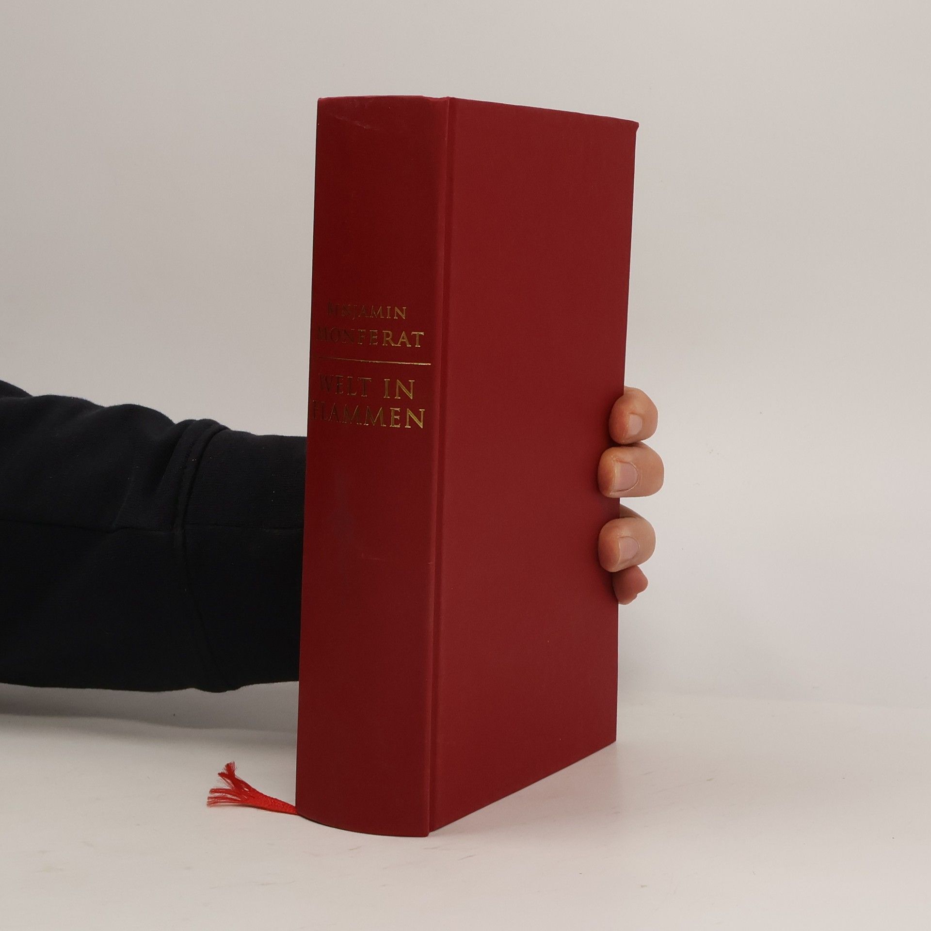 Benjamin Monferat Welt in Flammen