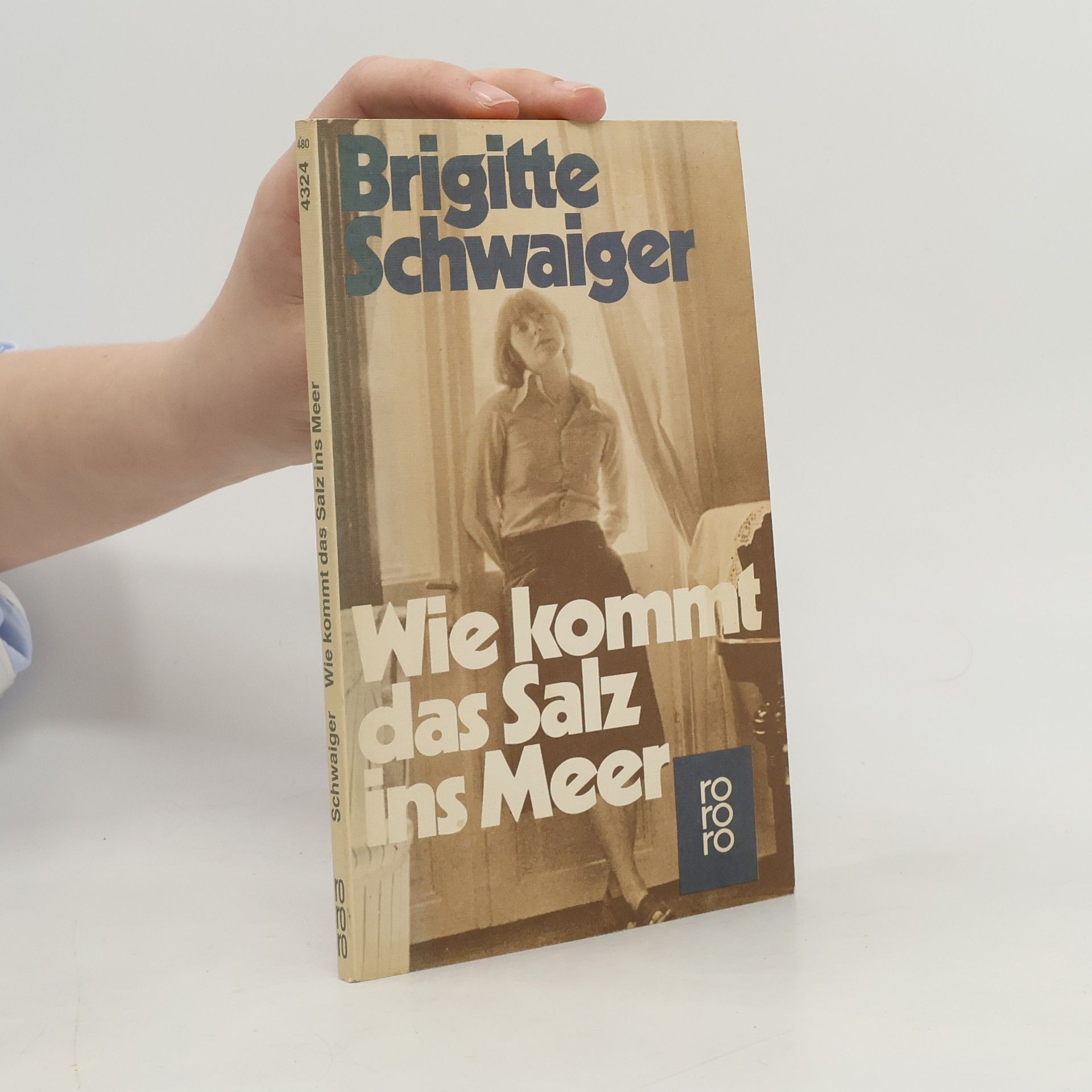 Brigitte Schwaiger Wie kommt das Salz ins Meer