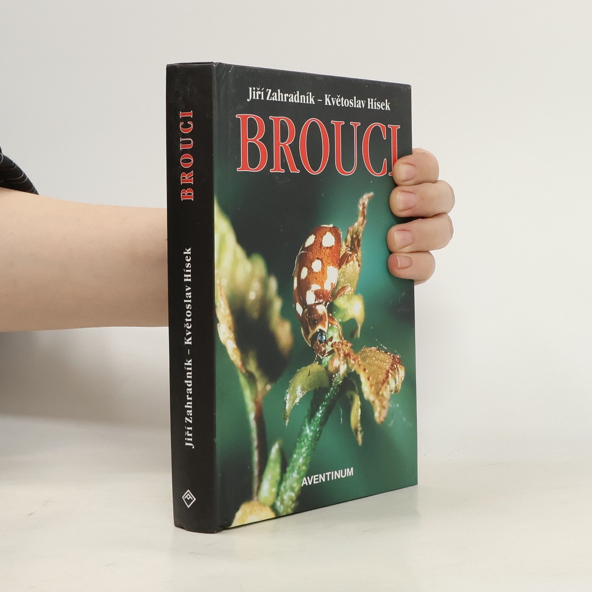 Květoslav Hísek Brouci