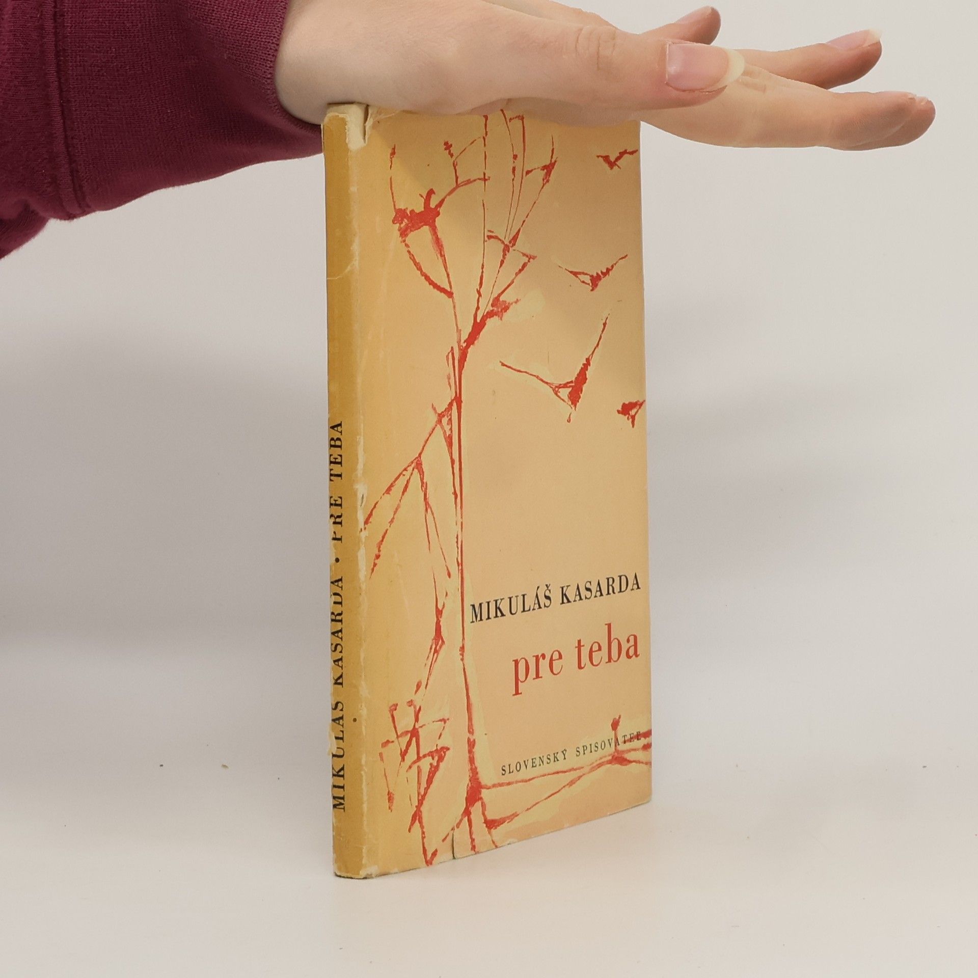 Mikuláš Kasarda Pre teba