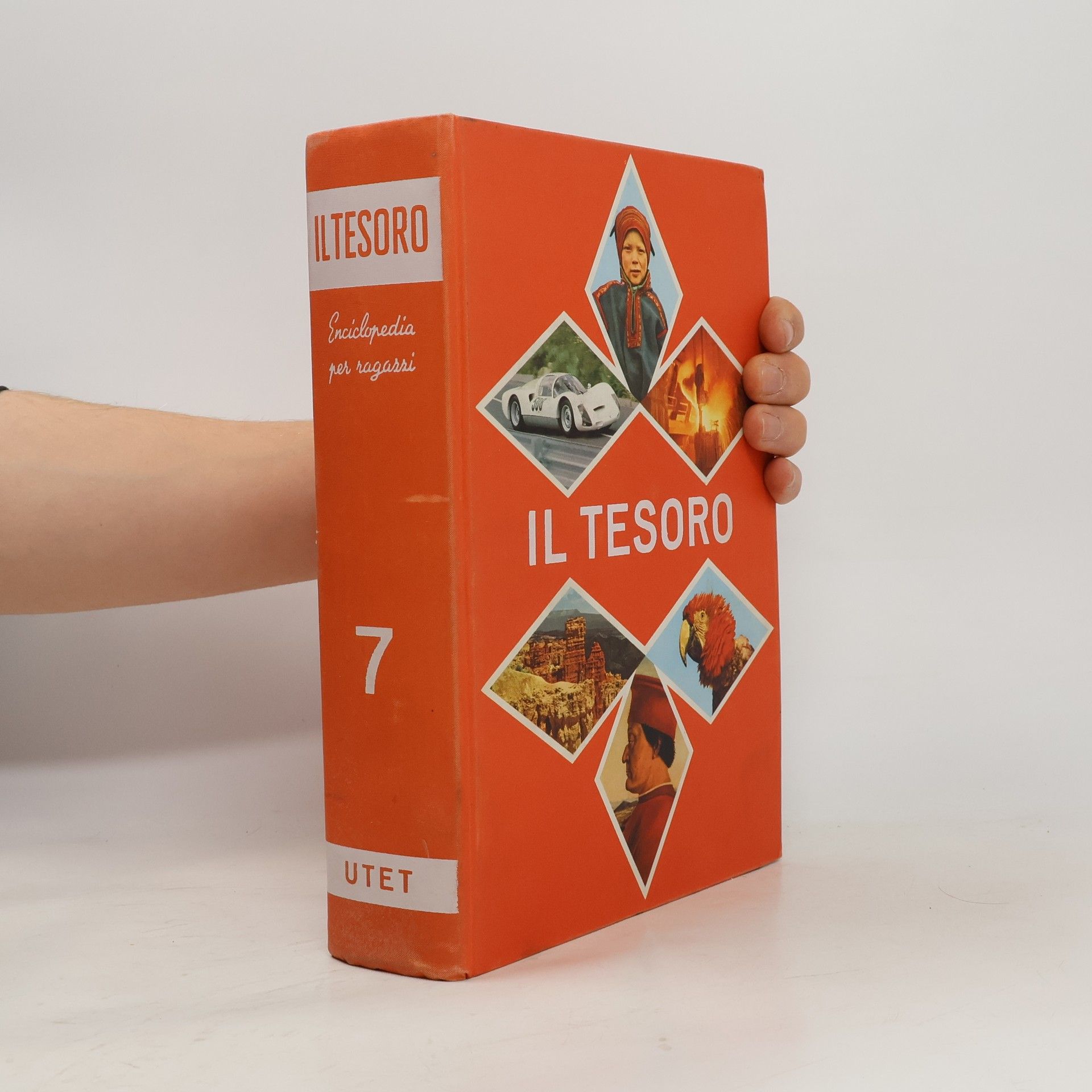 Il Tesoro del ragazzo italiano 7