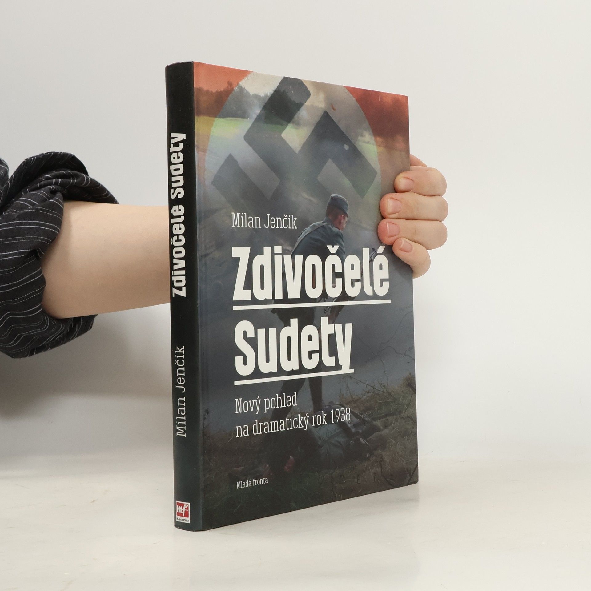 Milan Jenčík Zdivočelé Sudety. Nový pohled na dramatický rok 1938
