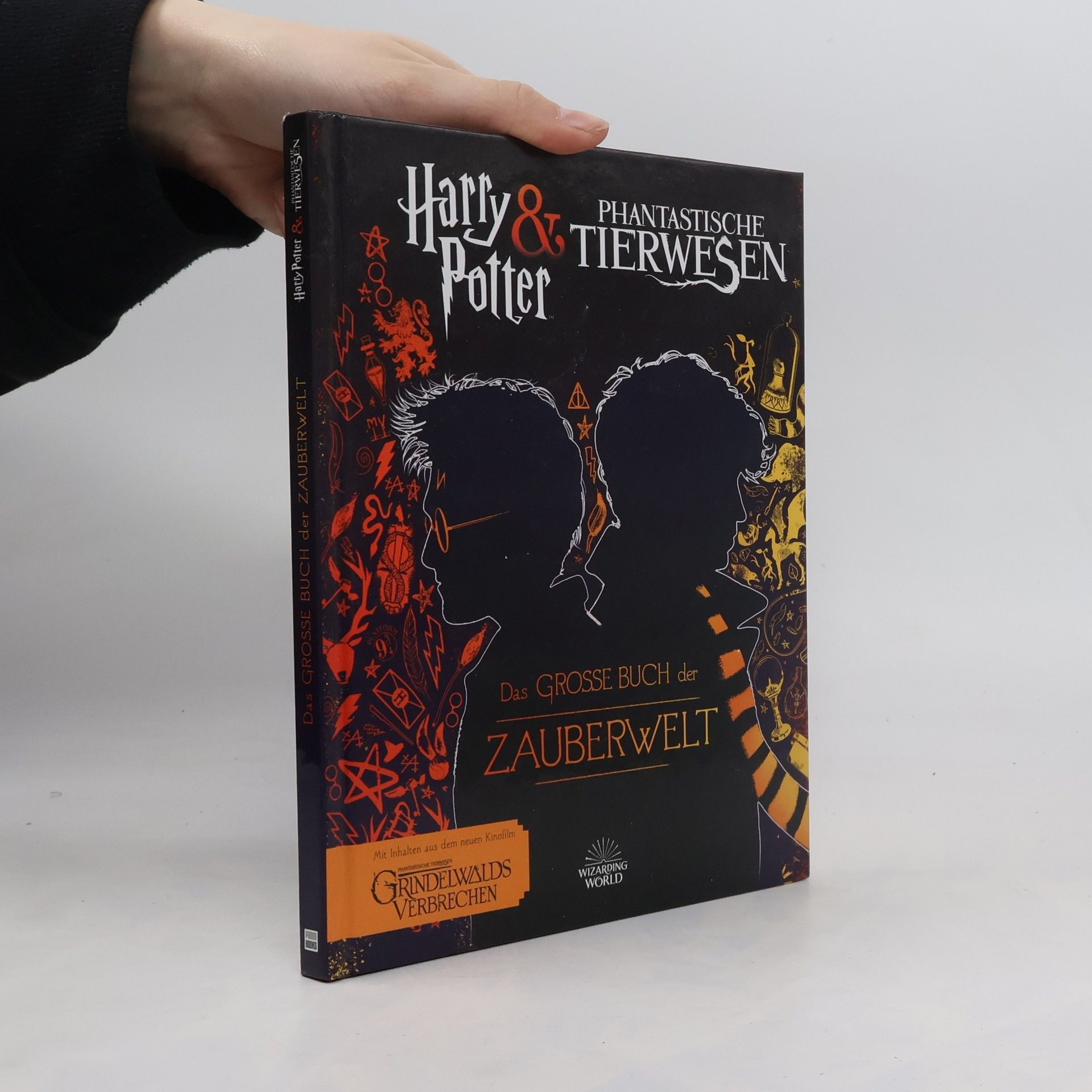 Michael Kogge Harry Potter & phantastische Tierwesen - das große Buch der Zauberwelt
