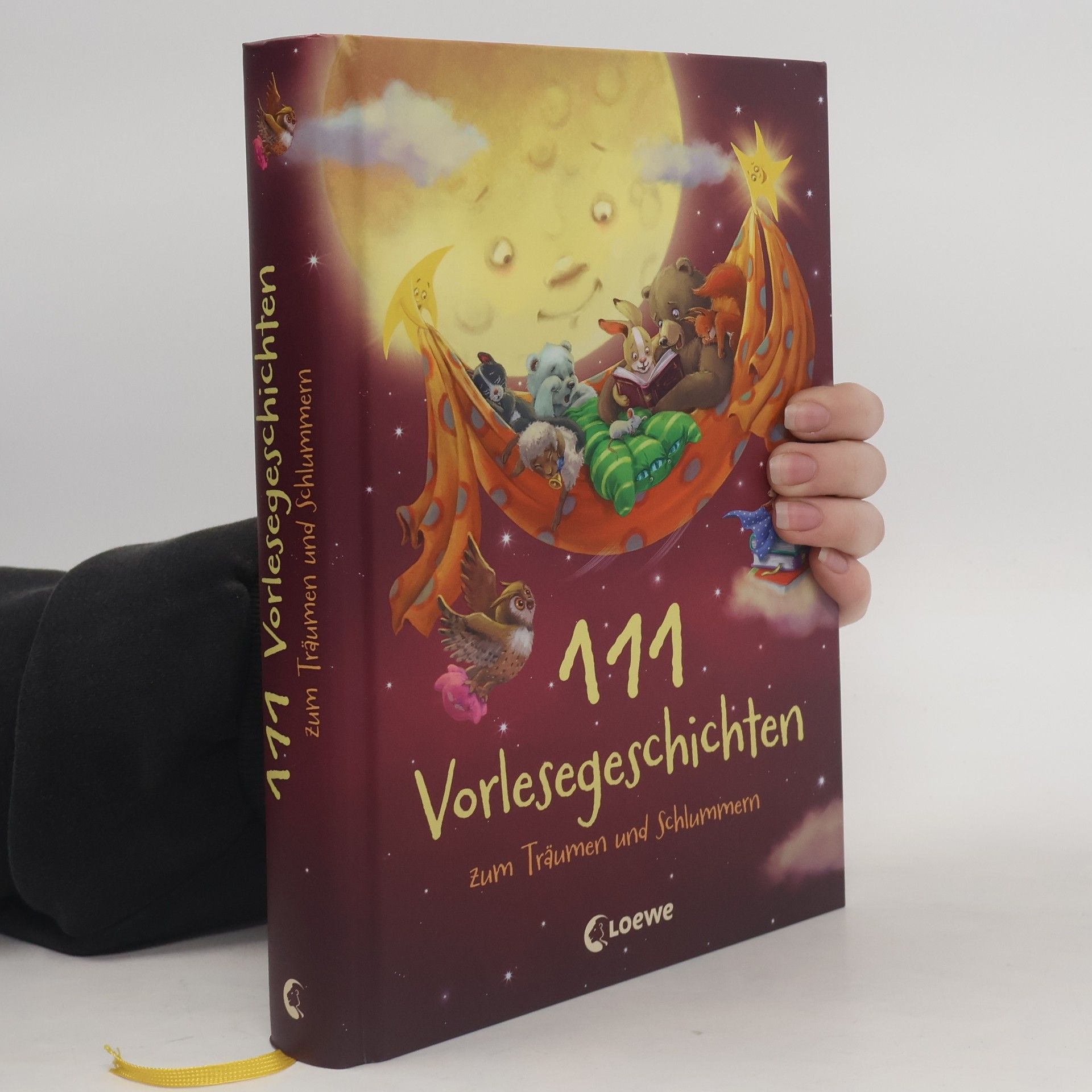 Auteurscollectief 111 Vorlesegeschichten zum Träumen und Schlummern