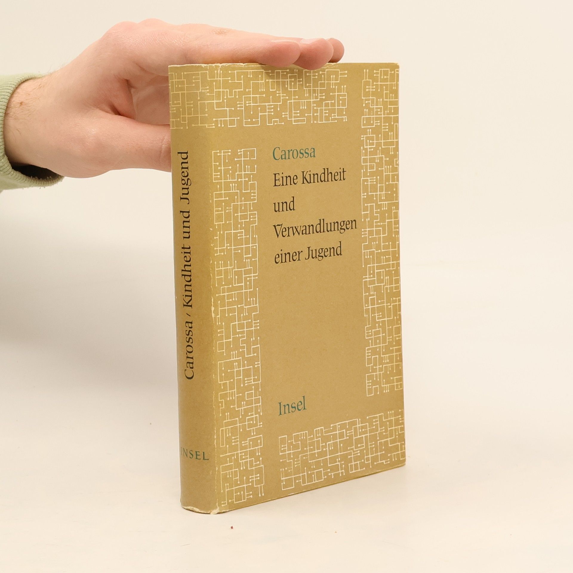 Hans Carossa Eine Kindheit und Verwandlungen einer Jugend