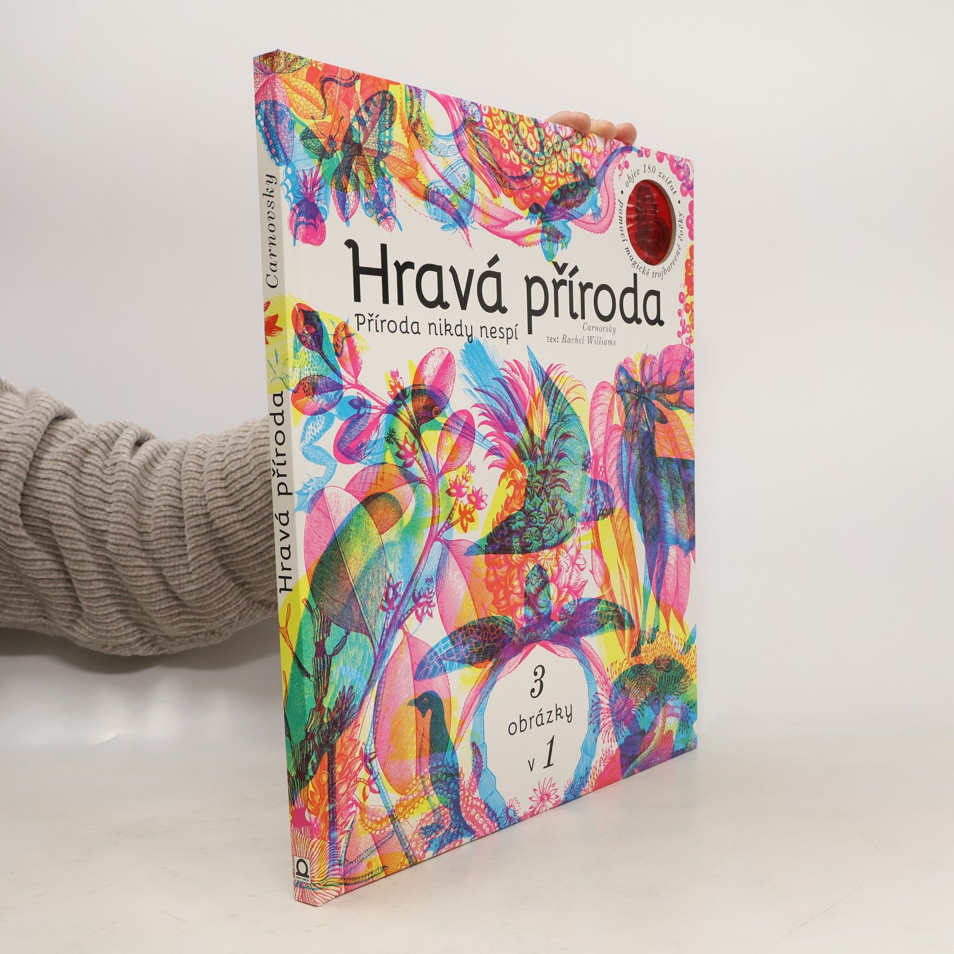 Hravá příroda - Příroda nikdy nespí