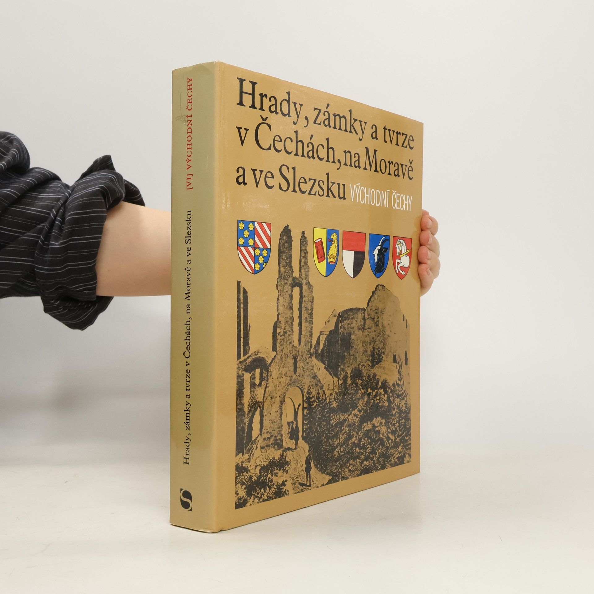 Auteurscollectief Hrady, zámky a tvrze v Čechách na Moravě a ve Slezsku VI. Východní Čechy