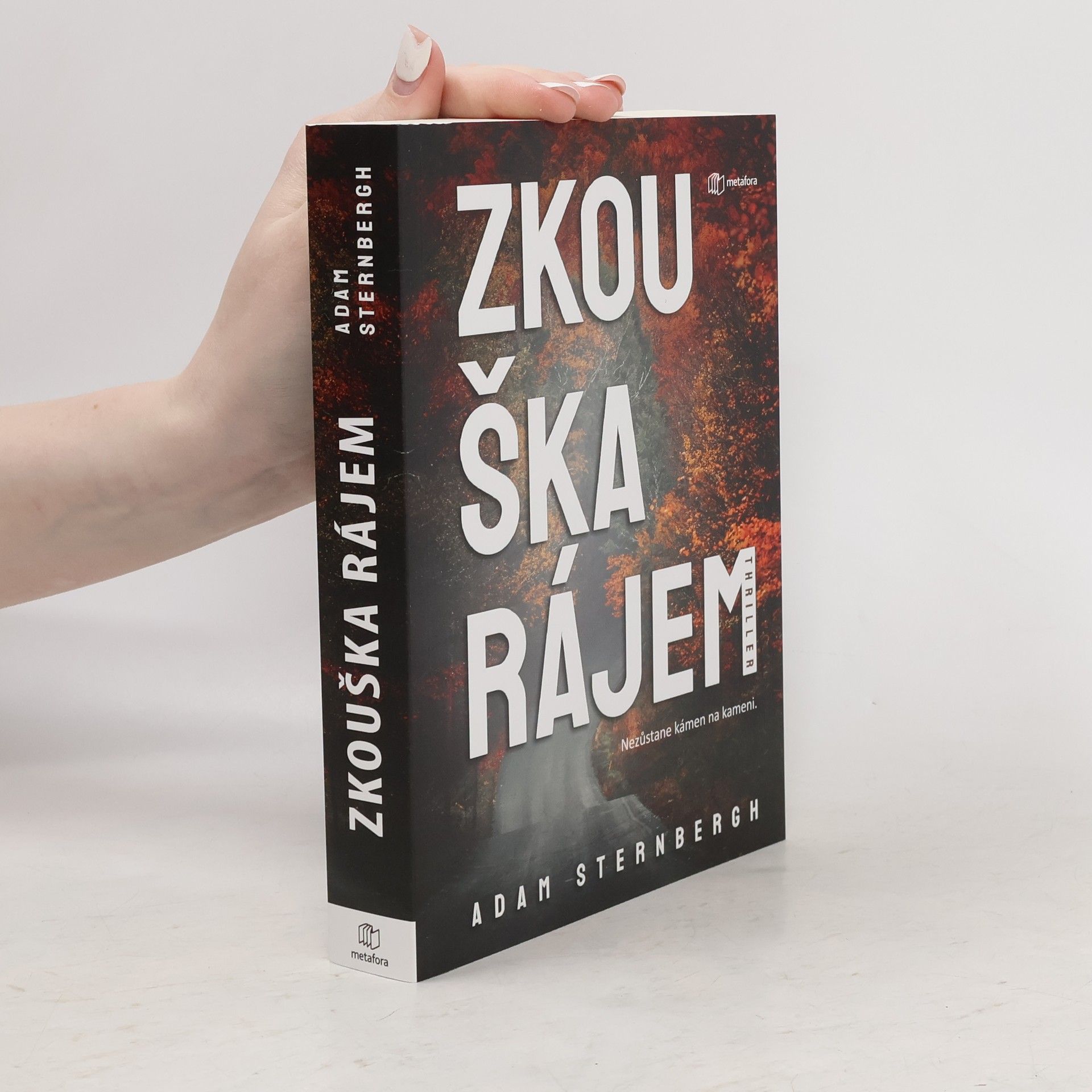 Adam Sternbergh Zkouška rájem