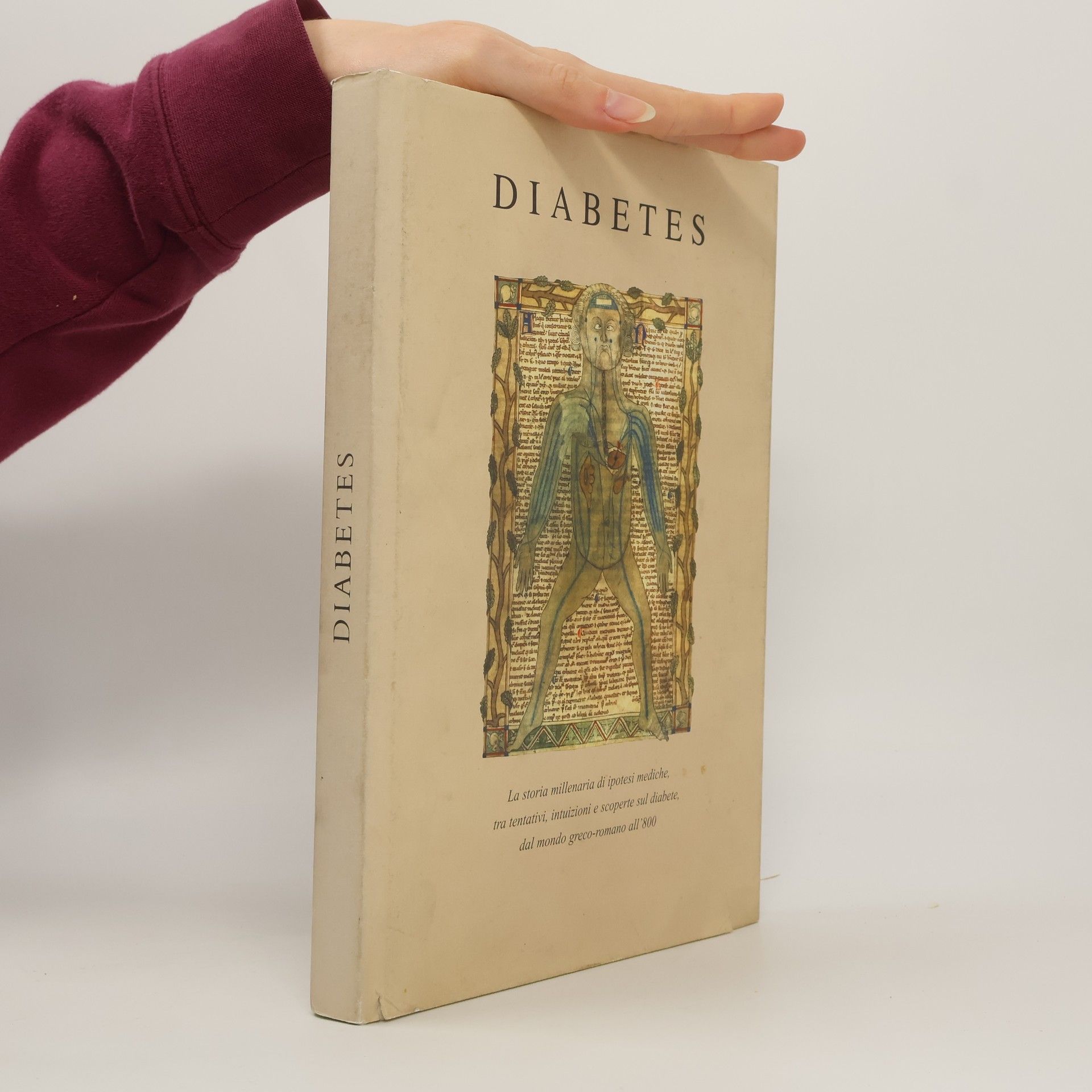 Kolektiv autorů Diabetes