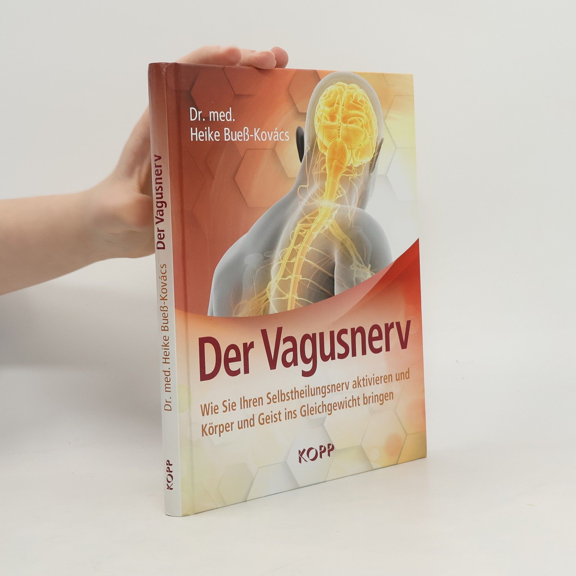 Der Vagusnerv