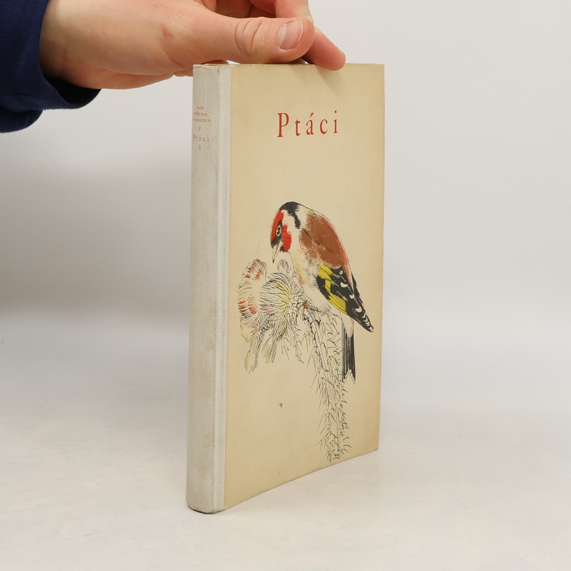 Karel Svolinský Ptáci