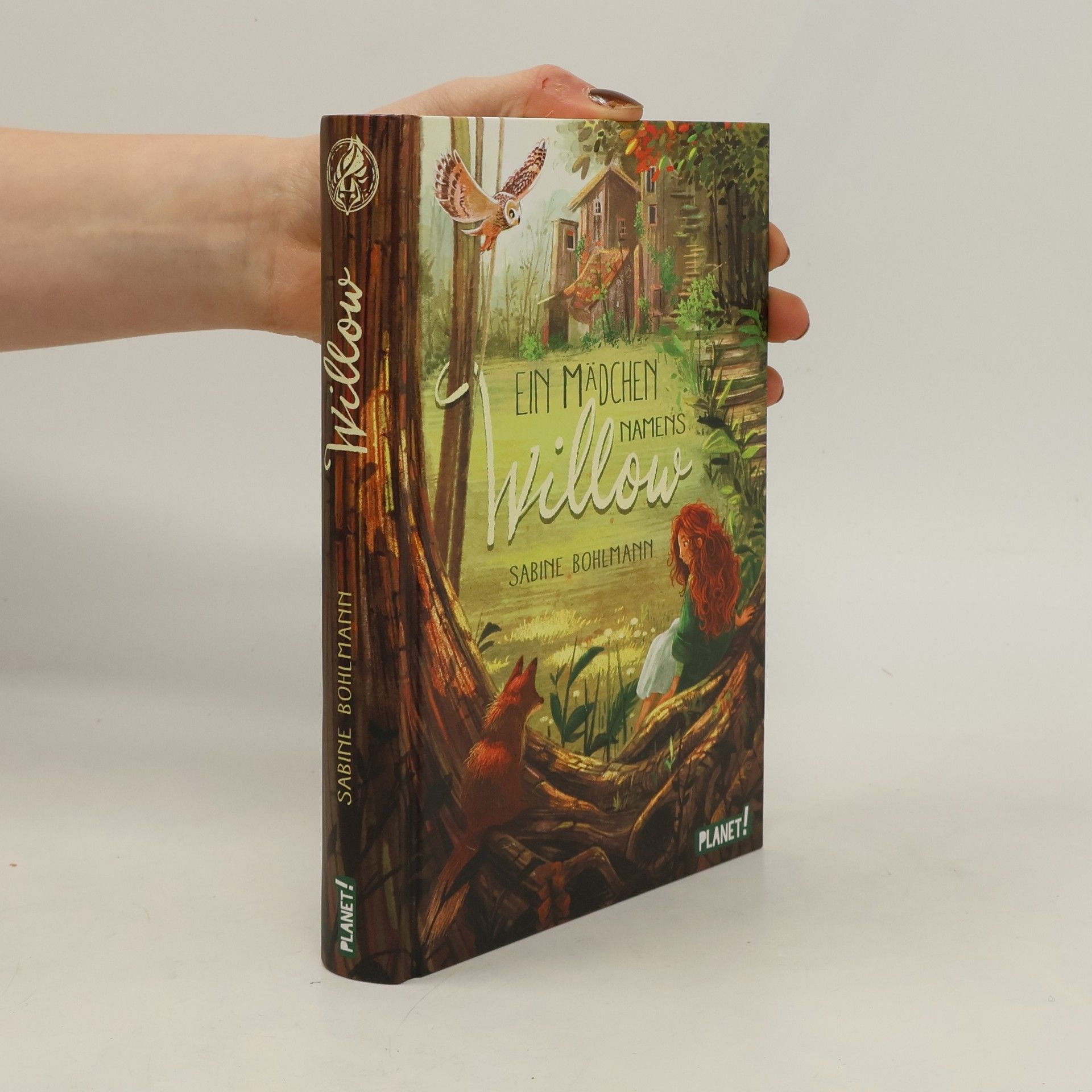 Sabine Bohlmann Ein Mädchen namens Willow