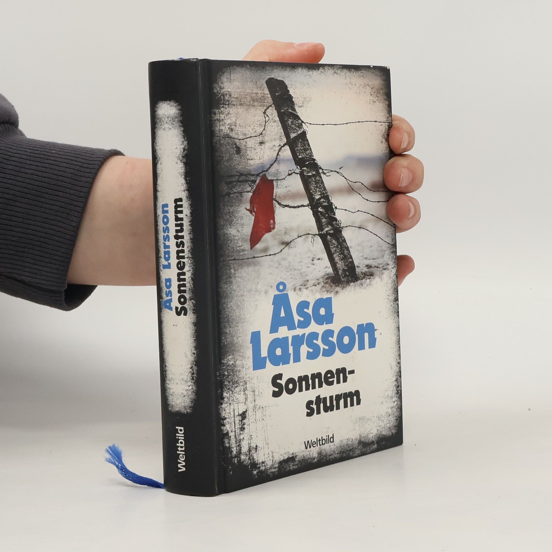 Åsa Larsson Sonnensturm