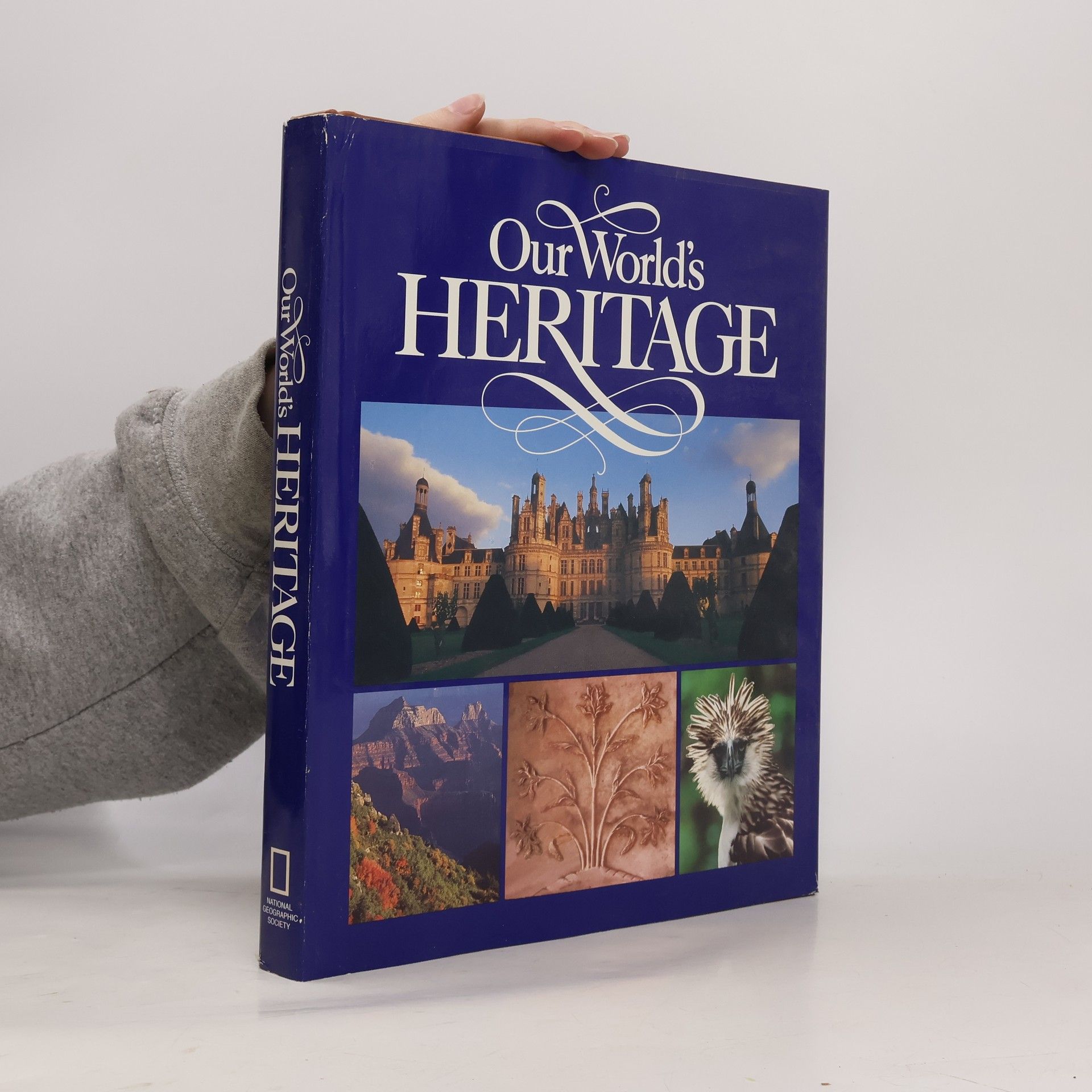 Carol Bittig Lutyk Our World's Heritage