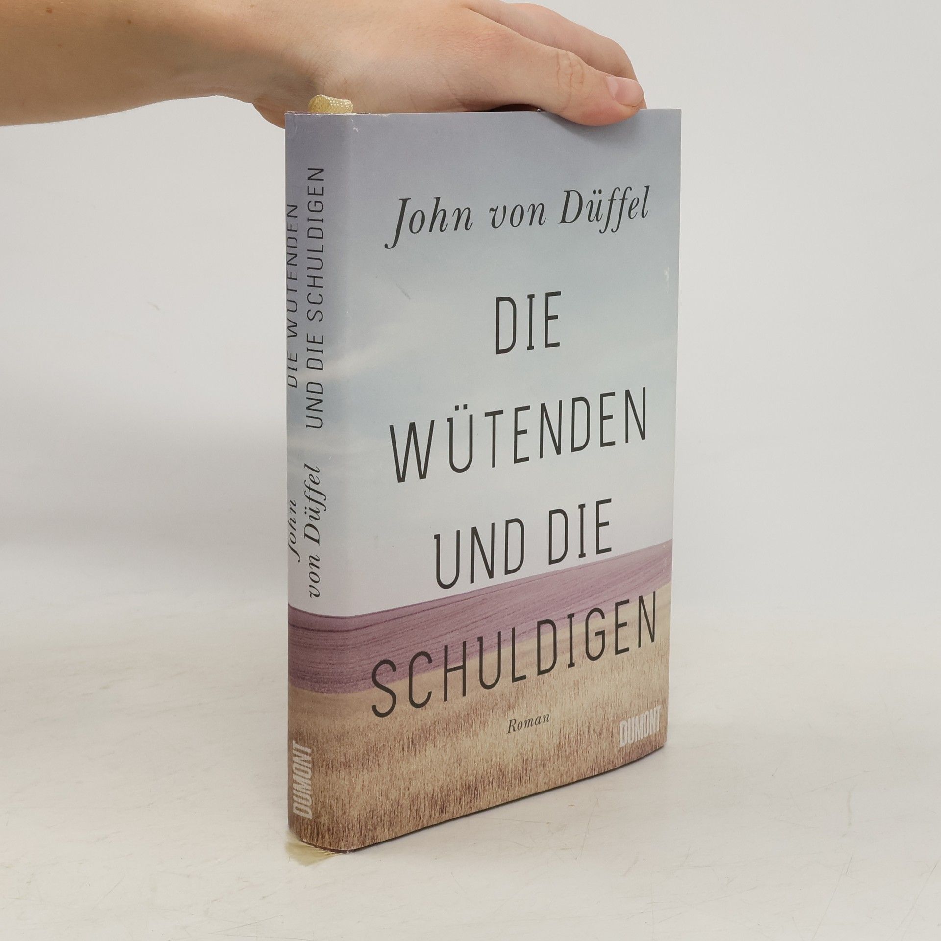 Die Wütenden und die Schuldigen : Roman