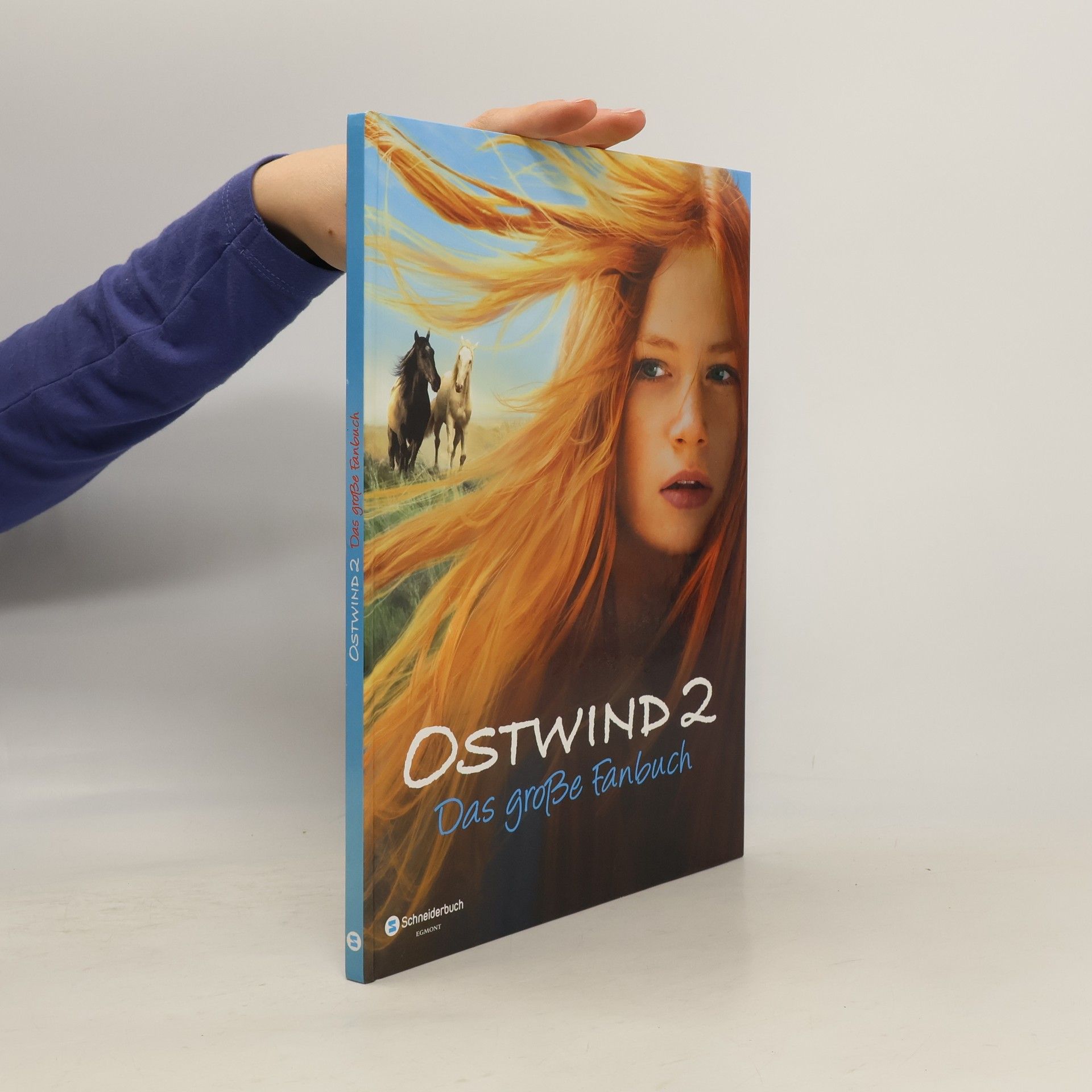 Autorenkollektiv Ostwind 2 : Das große Fanbuch