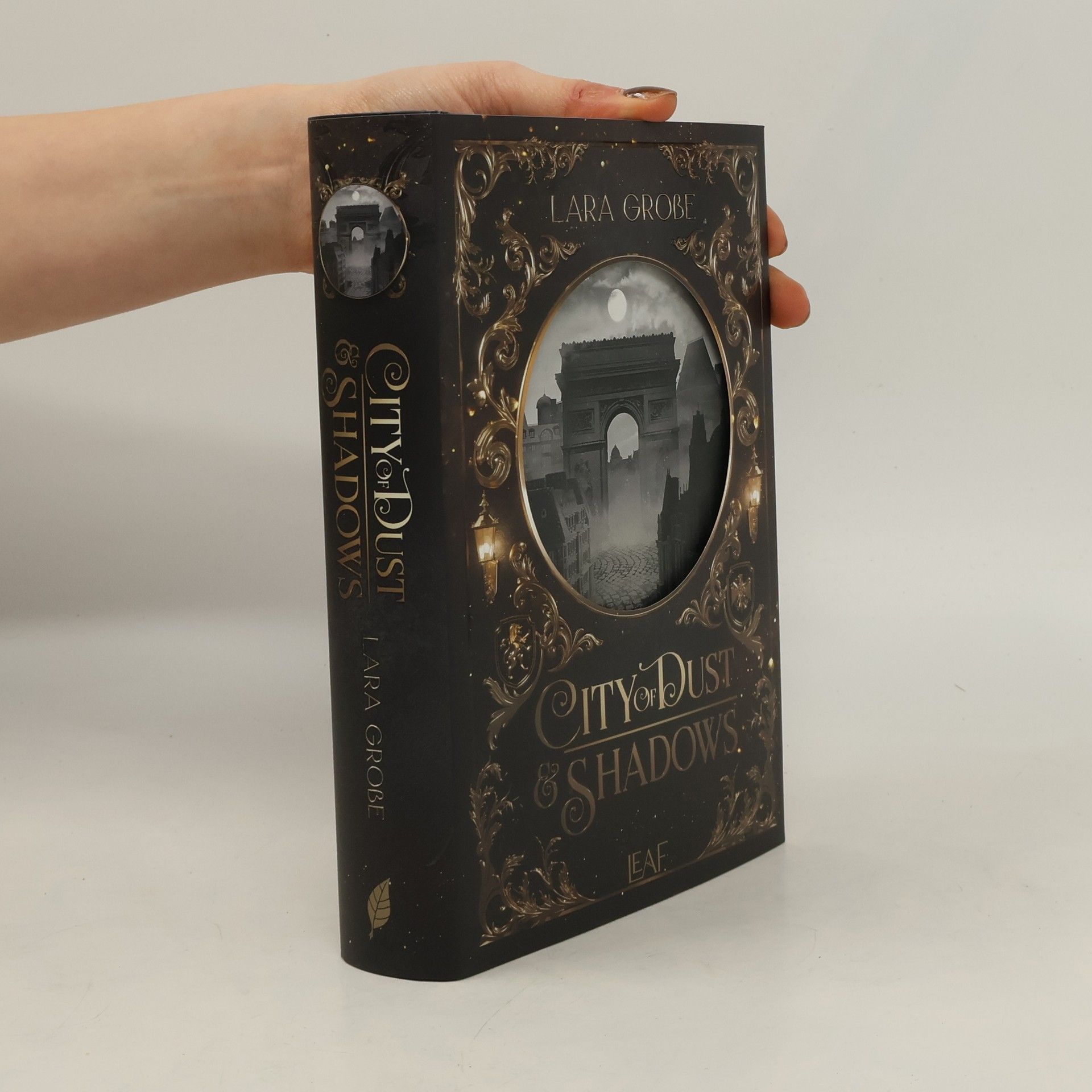 Lara Große City of Dust and Shadows