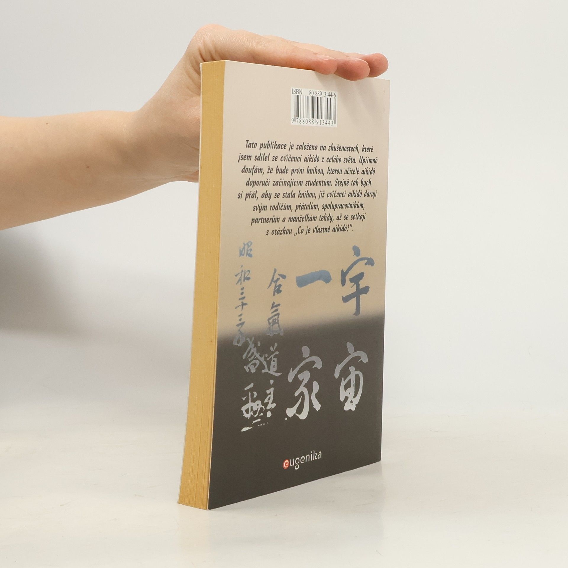 John Stevens Aikidó