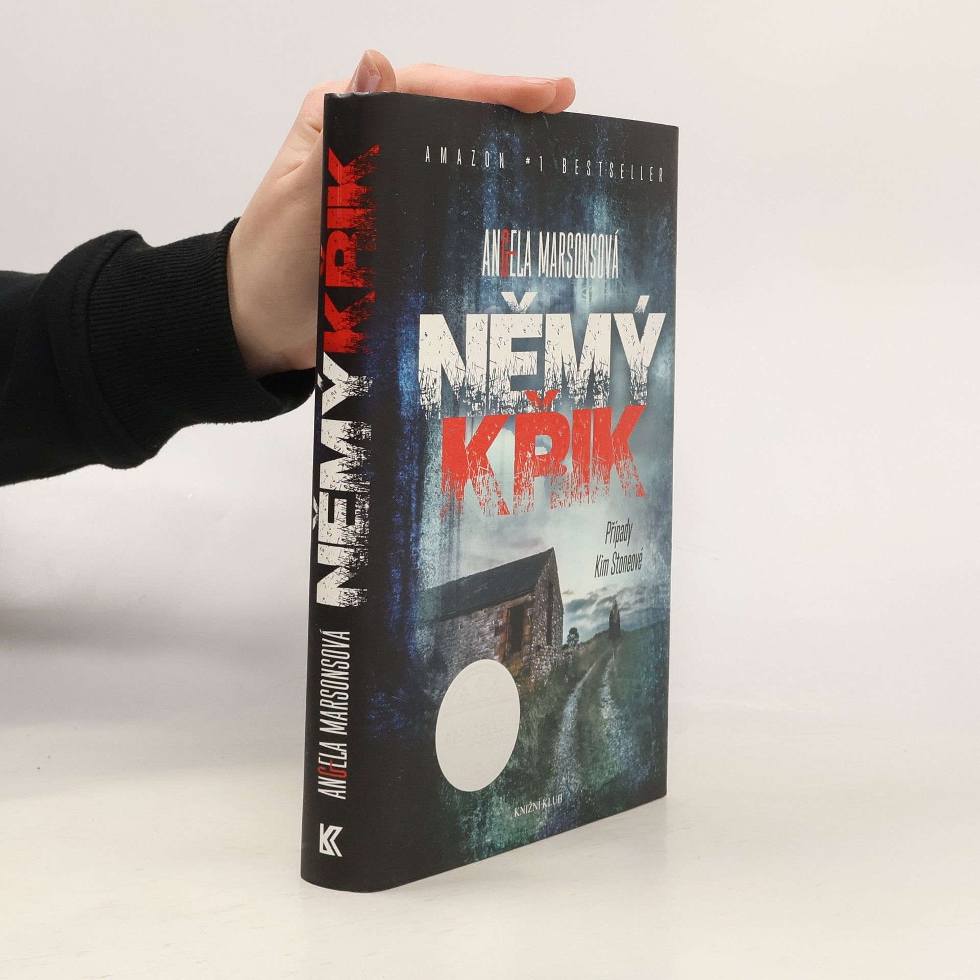 Angela Marsons Němý křik