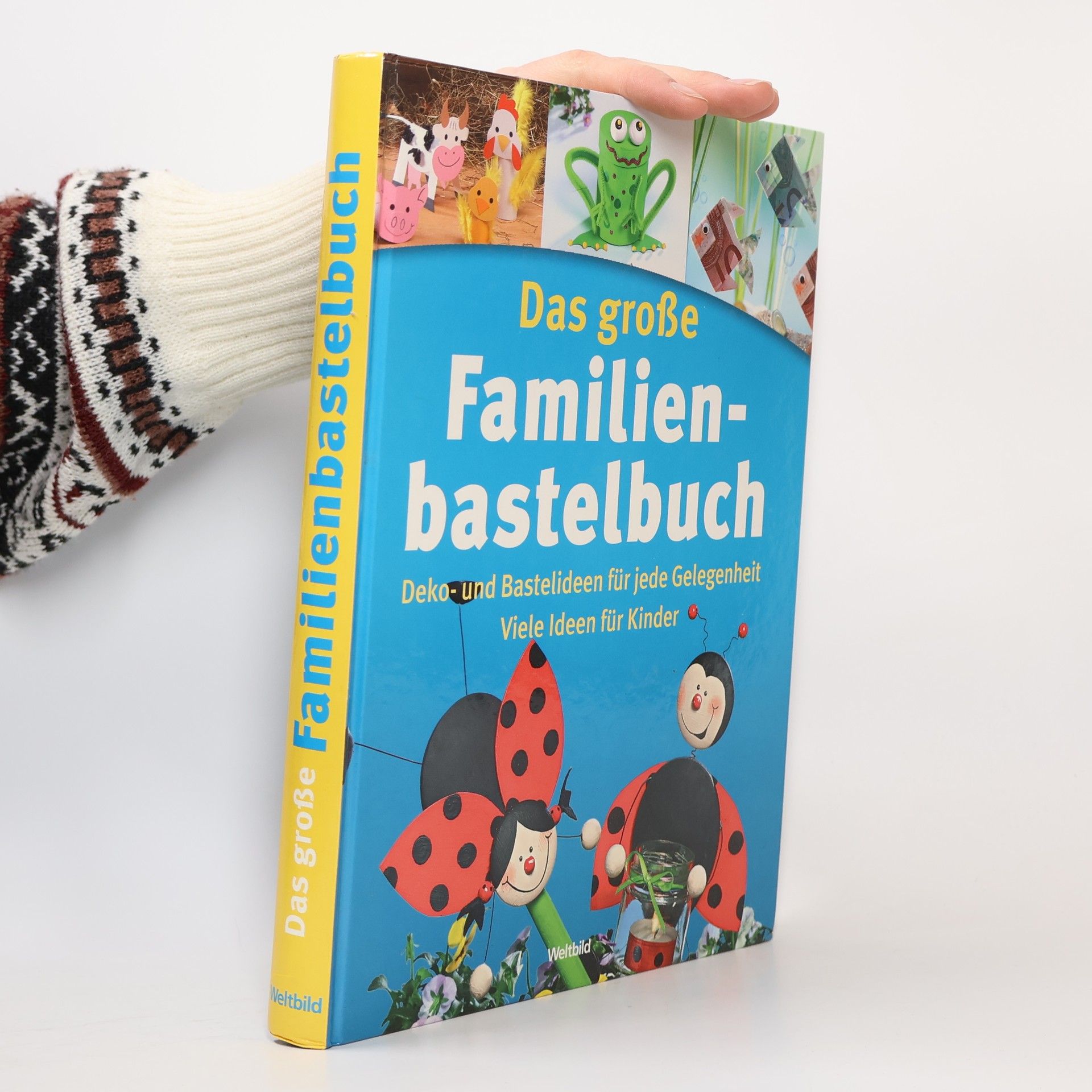 kolektiv Das große Familienbastelbuch
