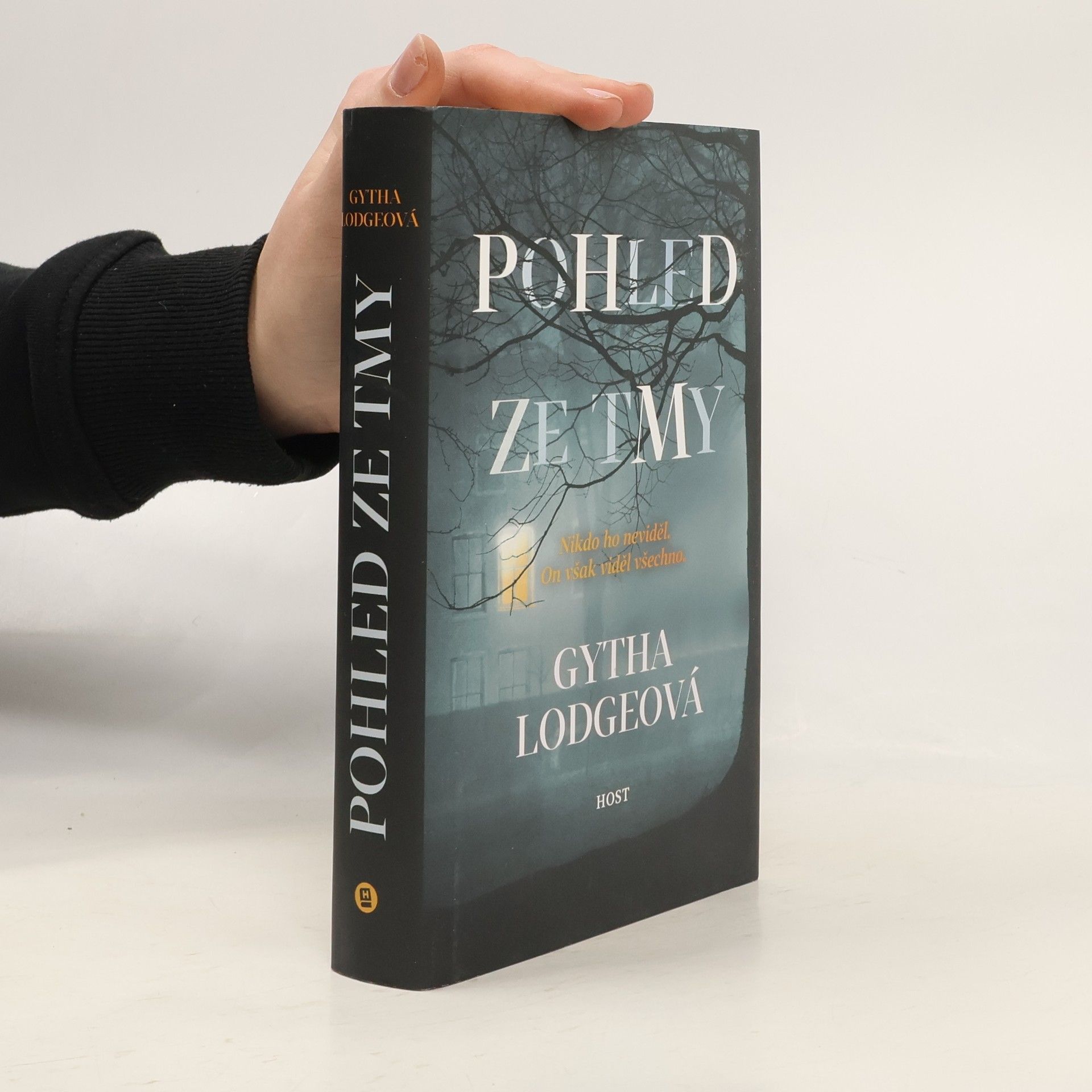 Gytha Lodge Pohled ze tmy