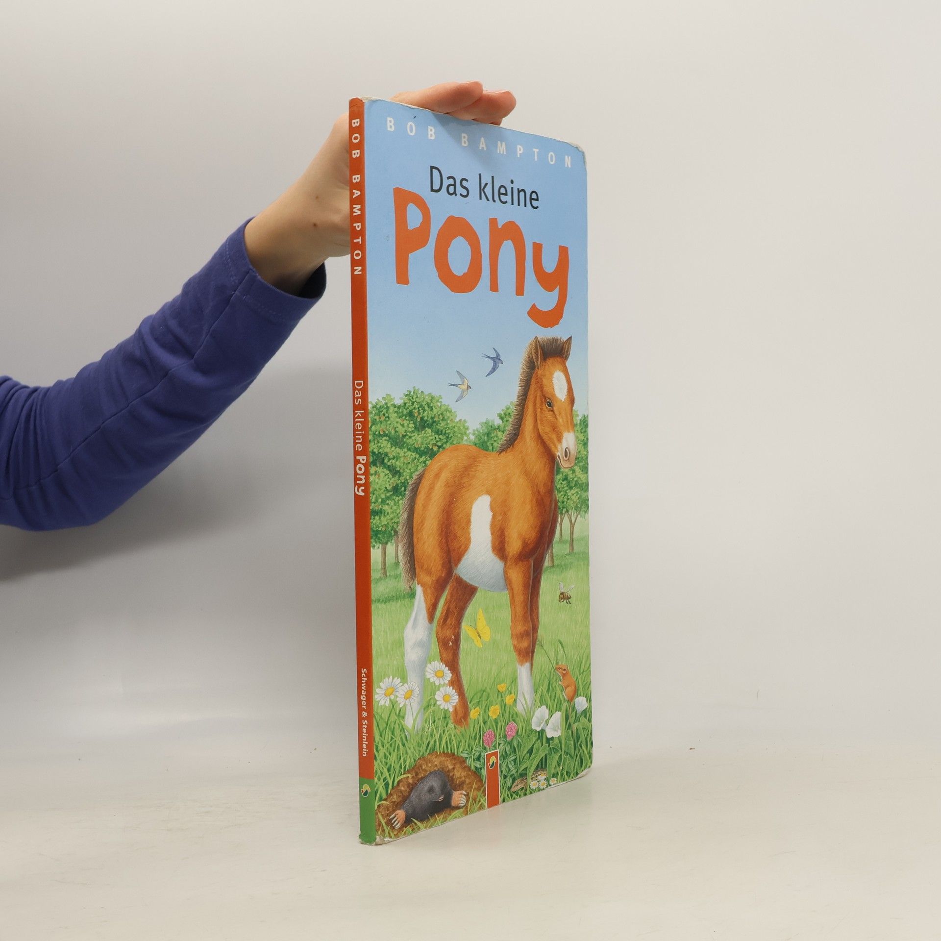 Bob Bampton Malý poník