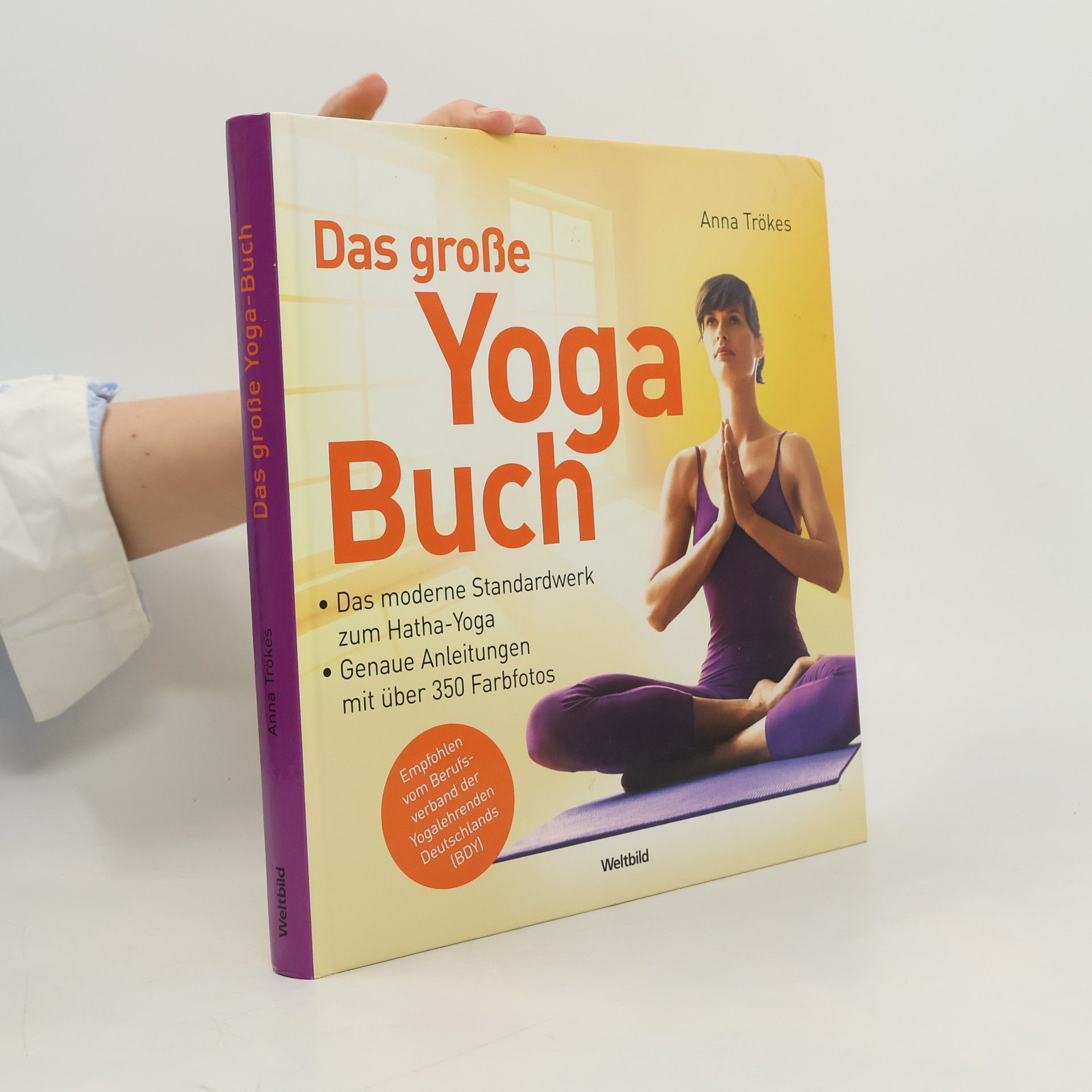 Anna Trökes Das große Yogabuch