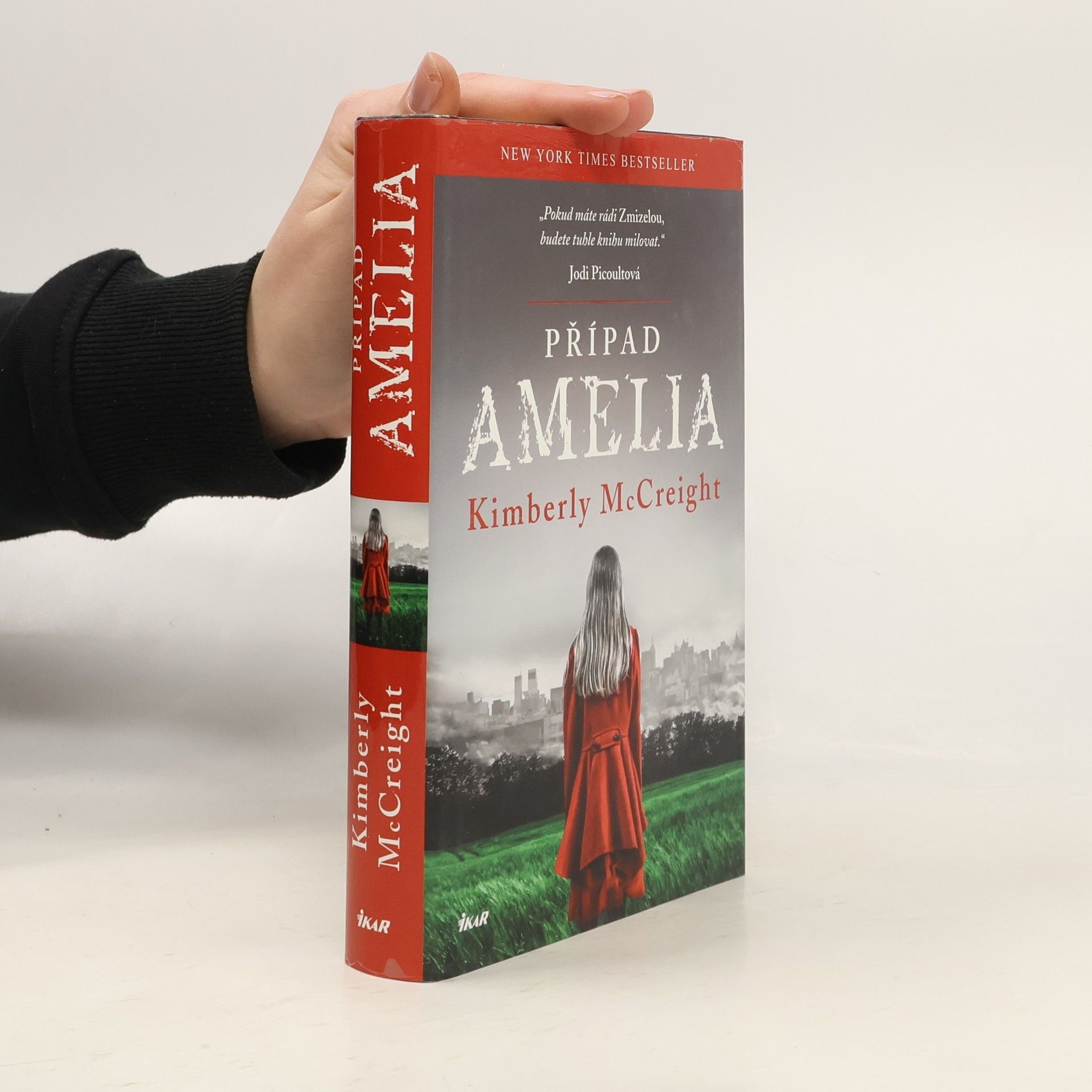 Kimberly McCreight Případ Amelia