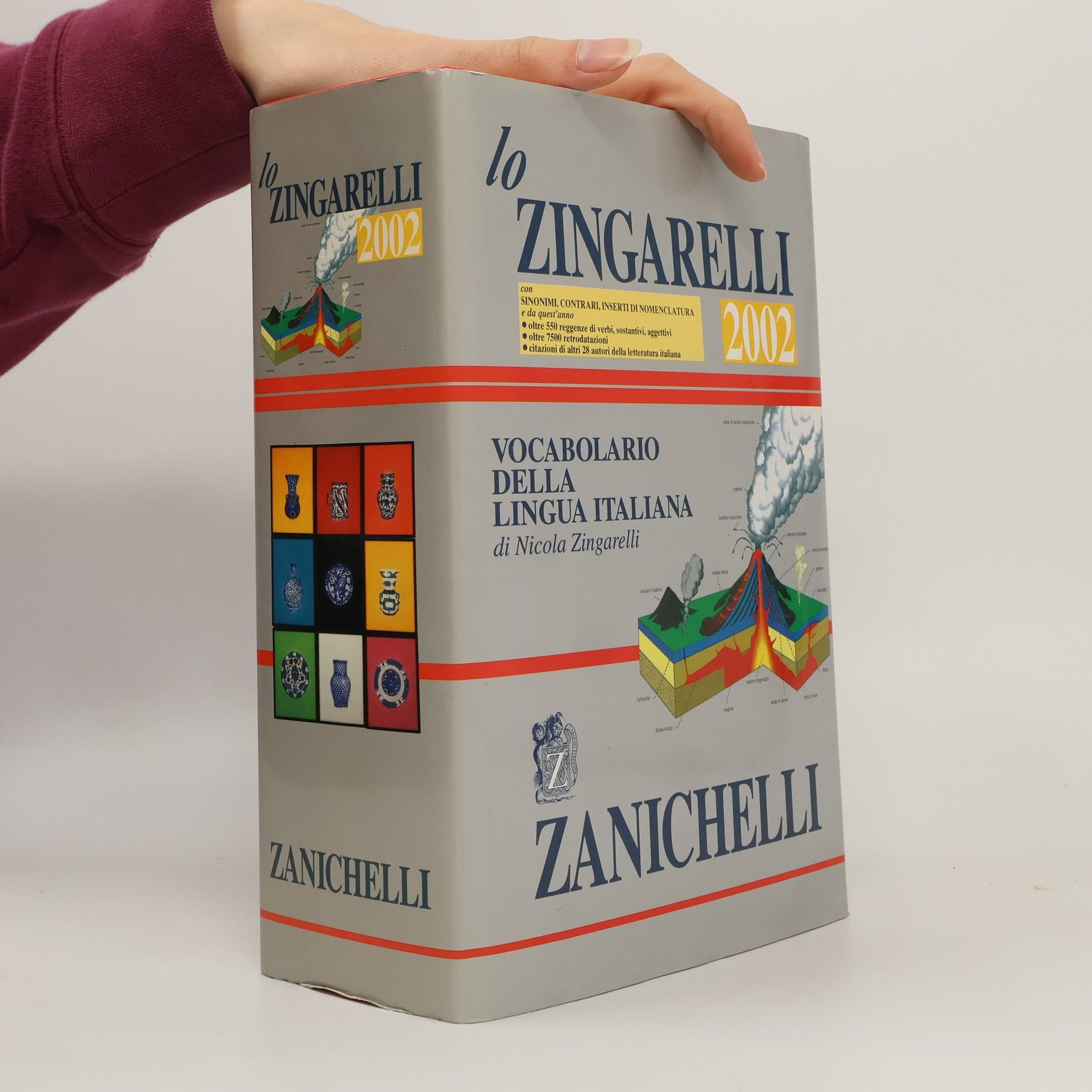 Nicola Zingarelli Lo Zingarelli 2002