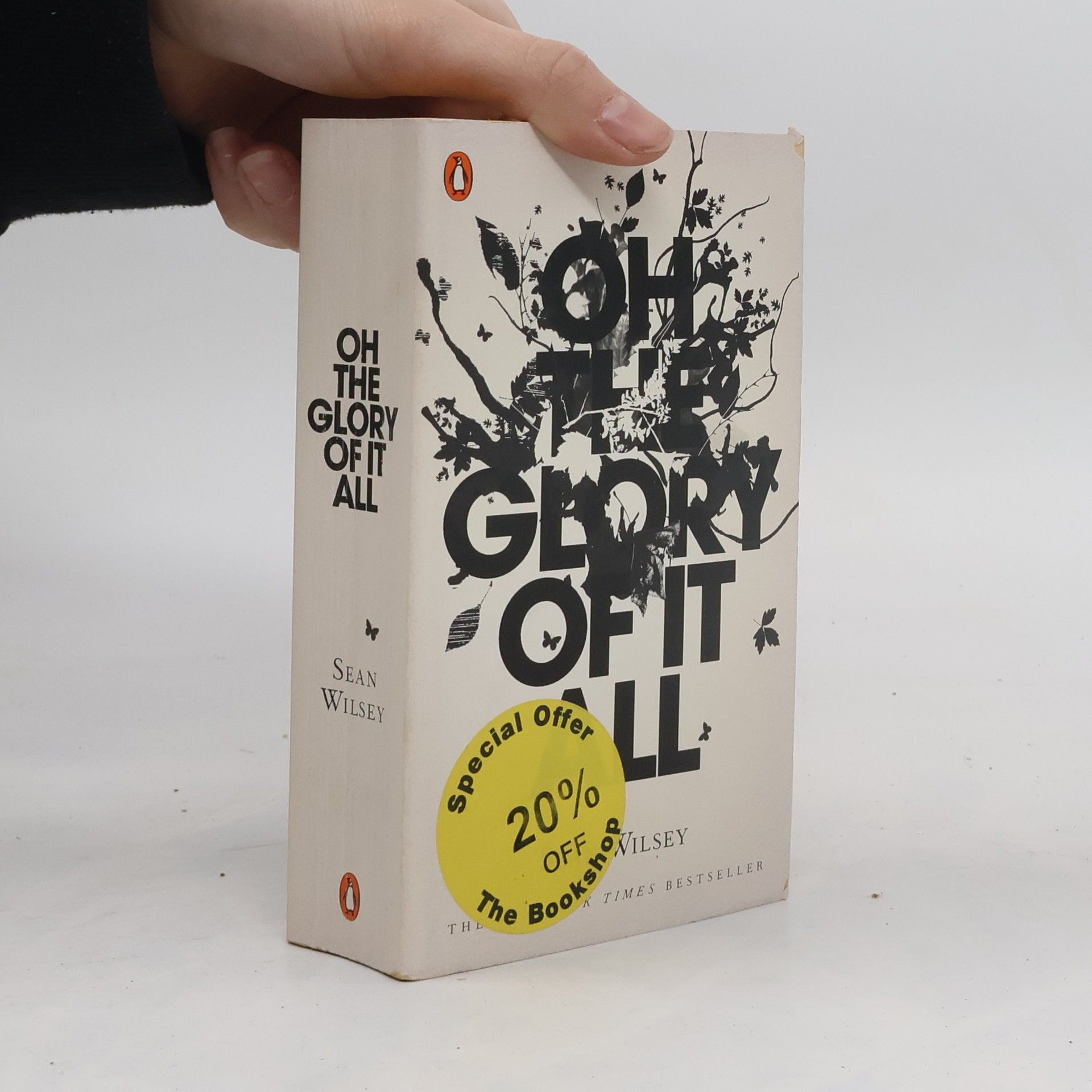 Sean Wilsey Oh the Glory of It All