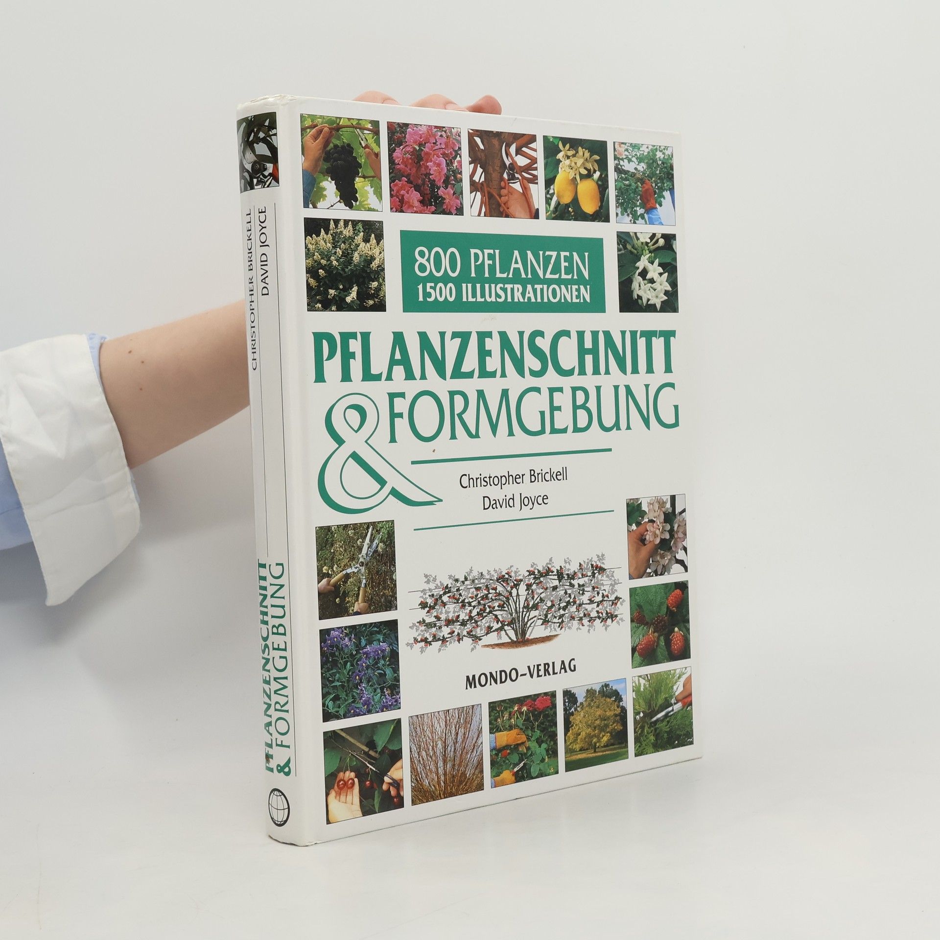 Christopher David Brickell Pflanzenschnitt & Formgebung