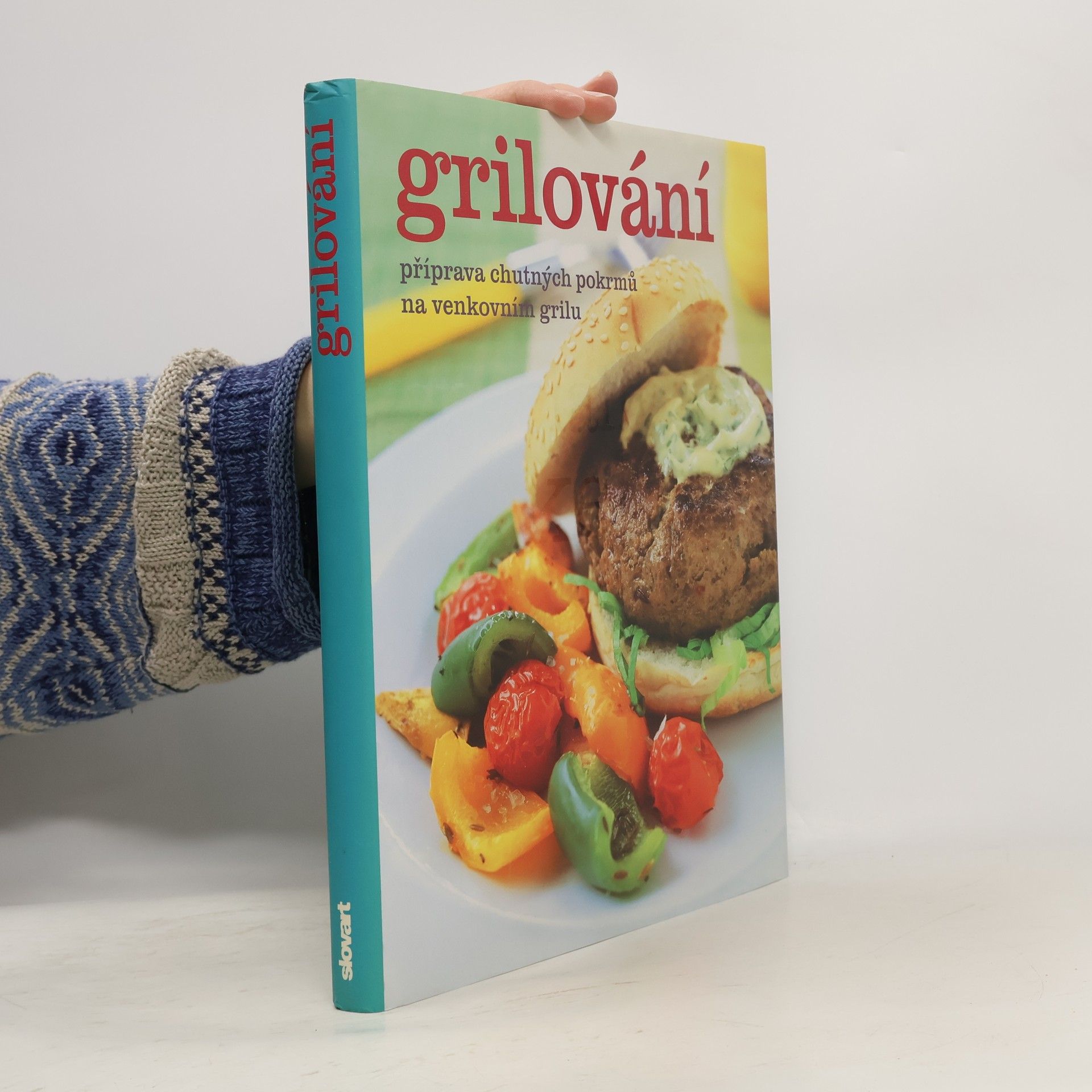 Autorenkollektiv Grilování. Příprava chutných pokrmů na venkovním grilu