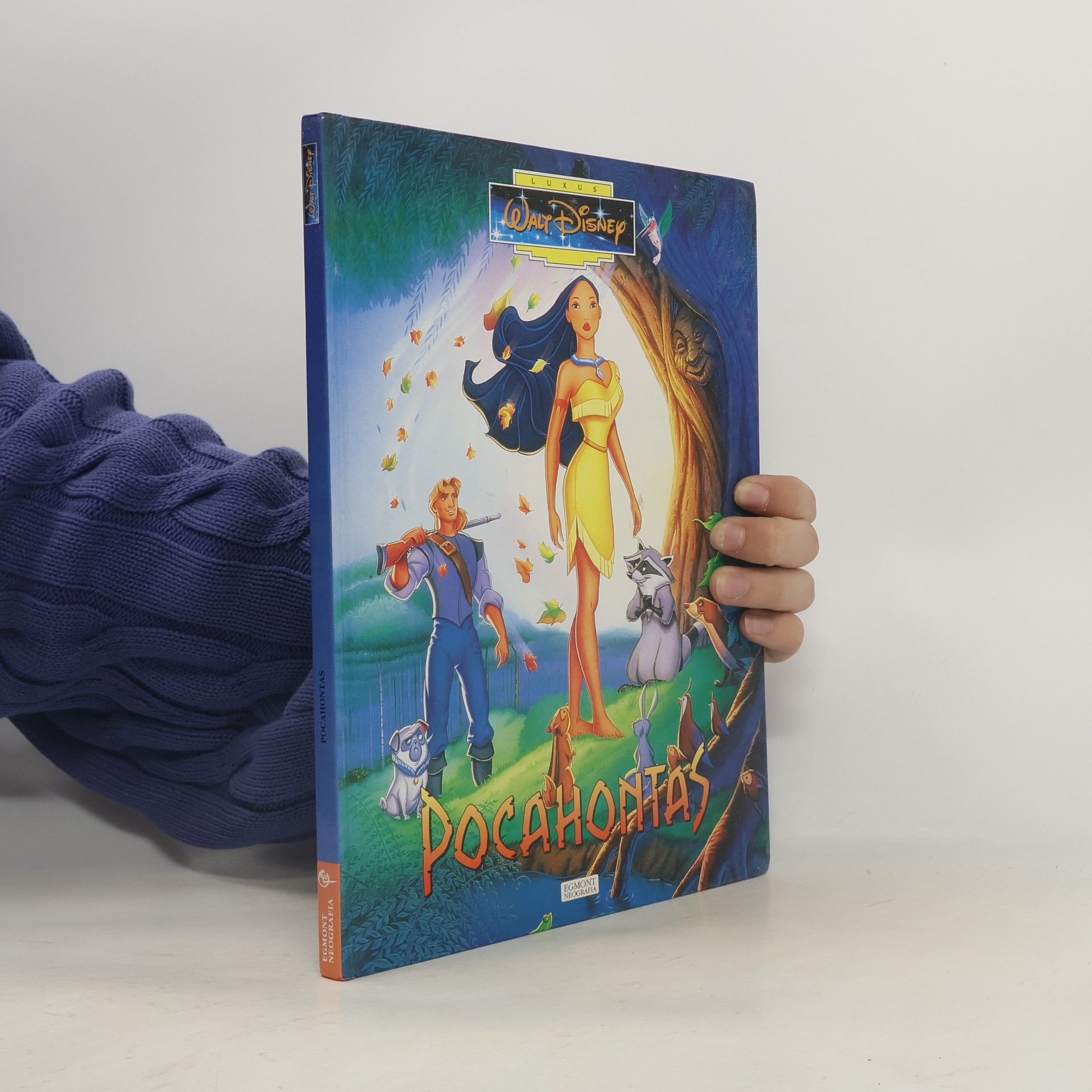 Walt Disney Pocahontas