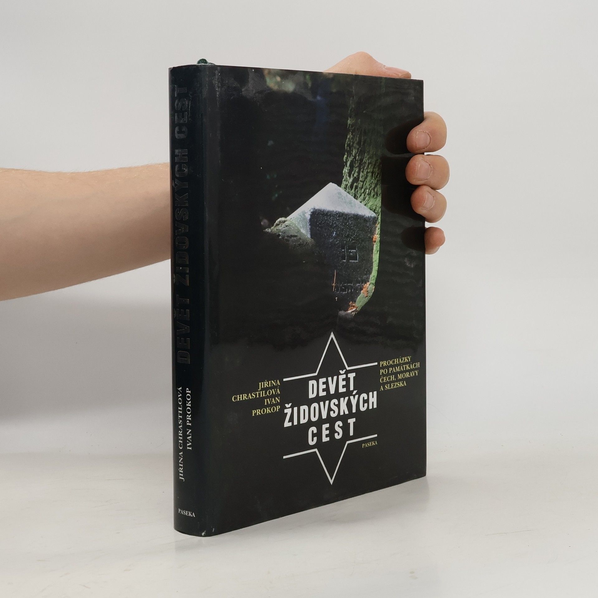 Jiřina Chrastilová Devět židovských cest. Procházky po památkách Čech, Moravy a Slezska