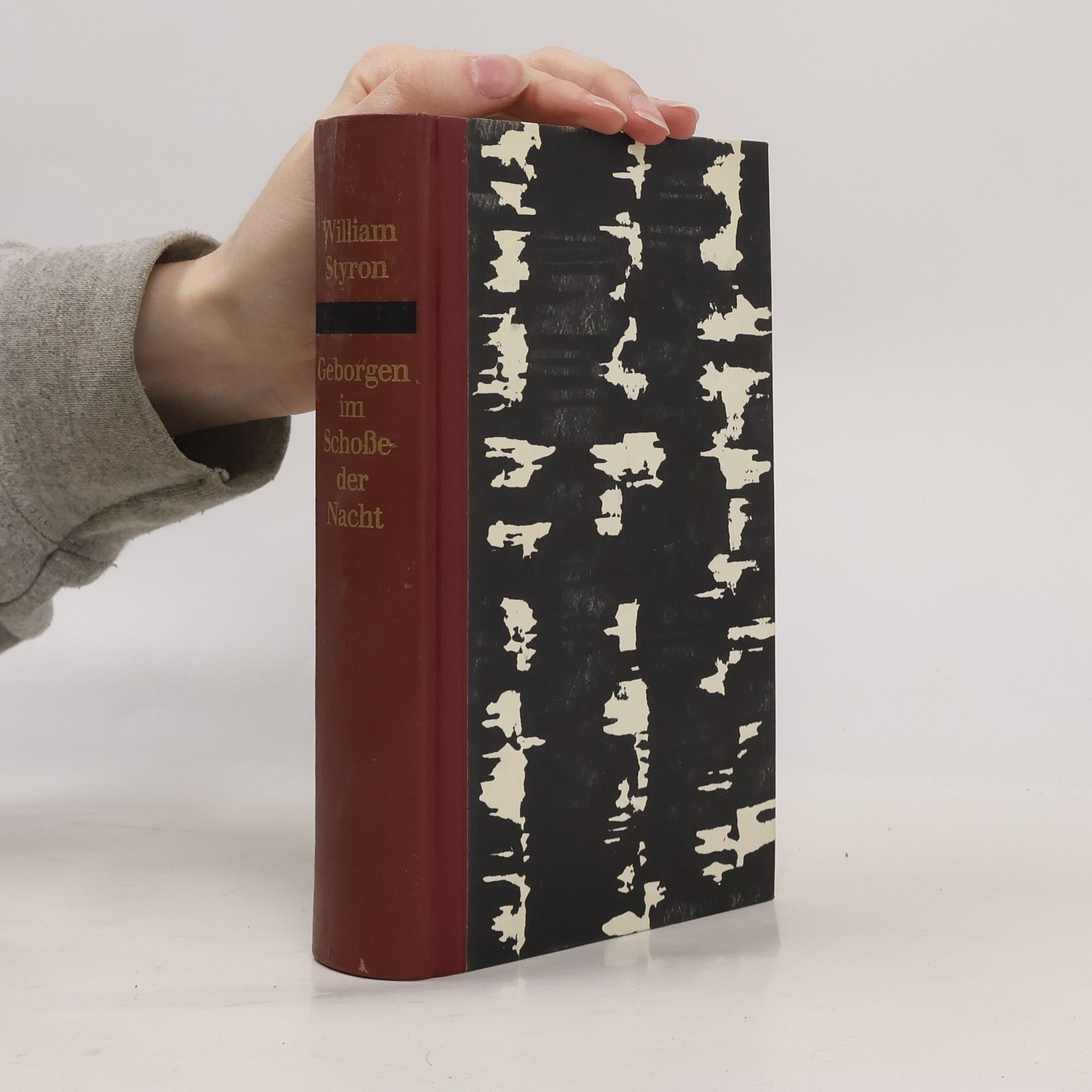 Geborgen im Schoße der Nacht