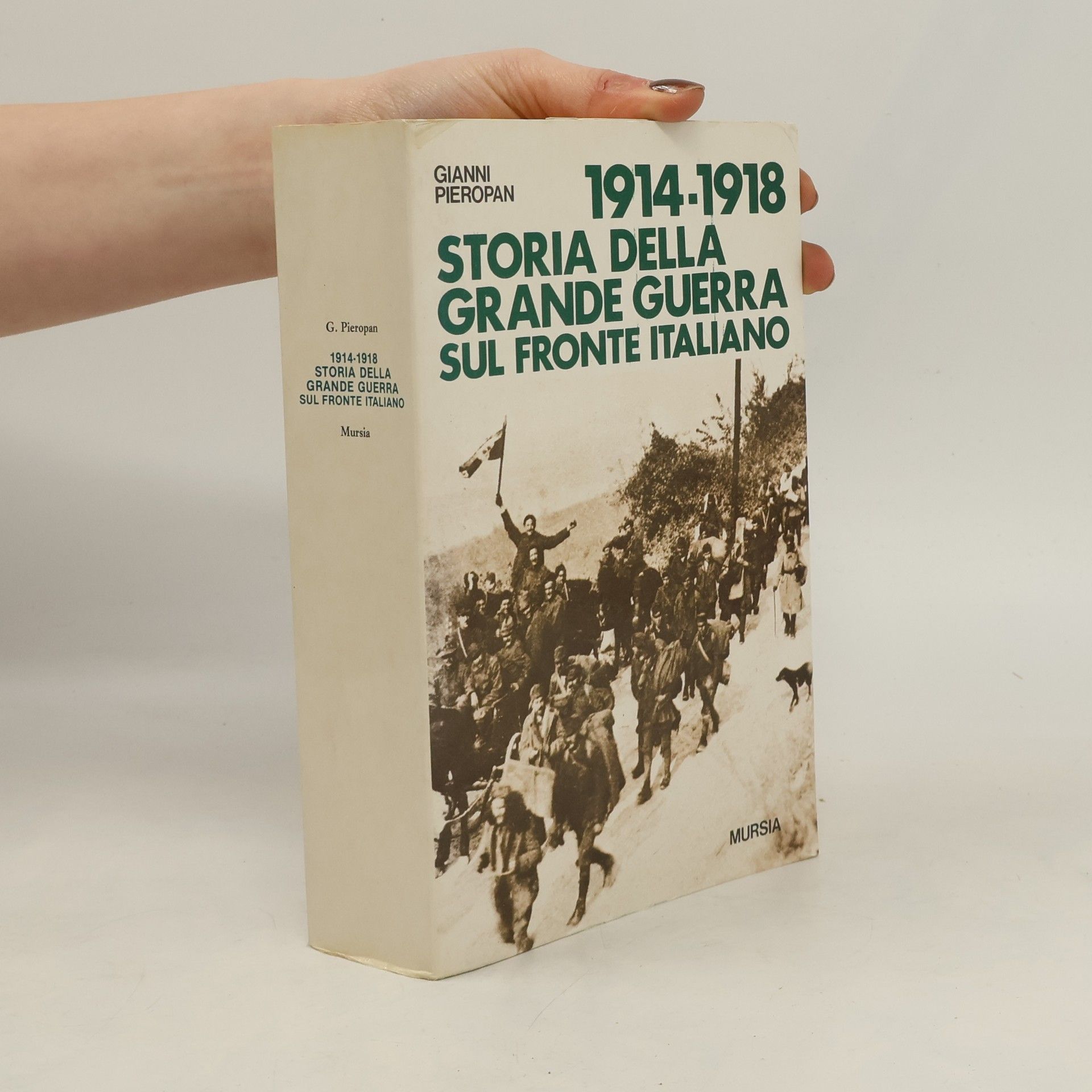 Gianni Pieropan 1914-1918 Storia della Grande Guerra sul Fronte Italiano