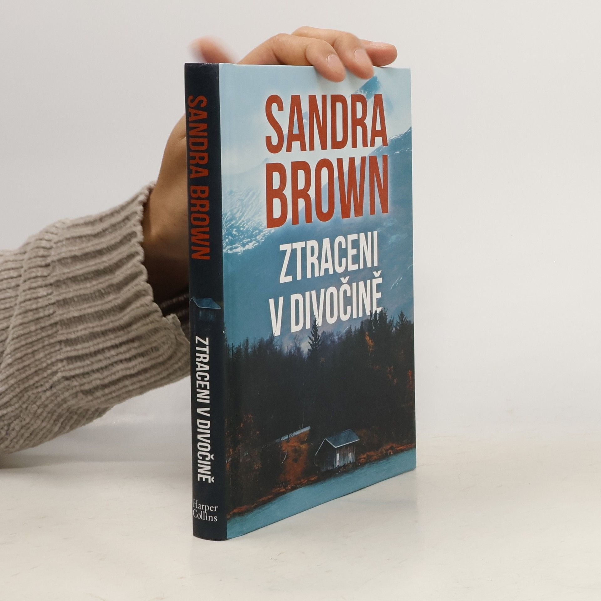 Sandra Brown Ztraceni v divočině