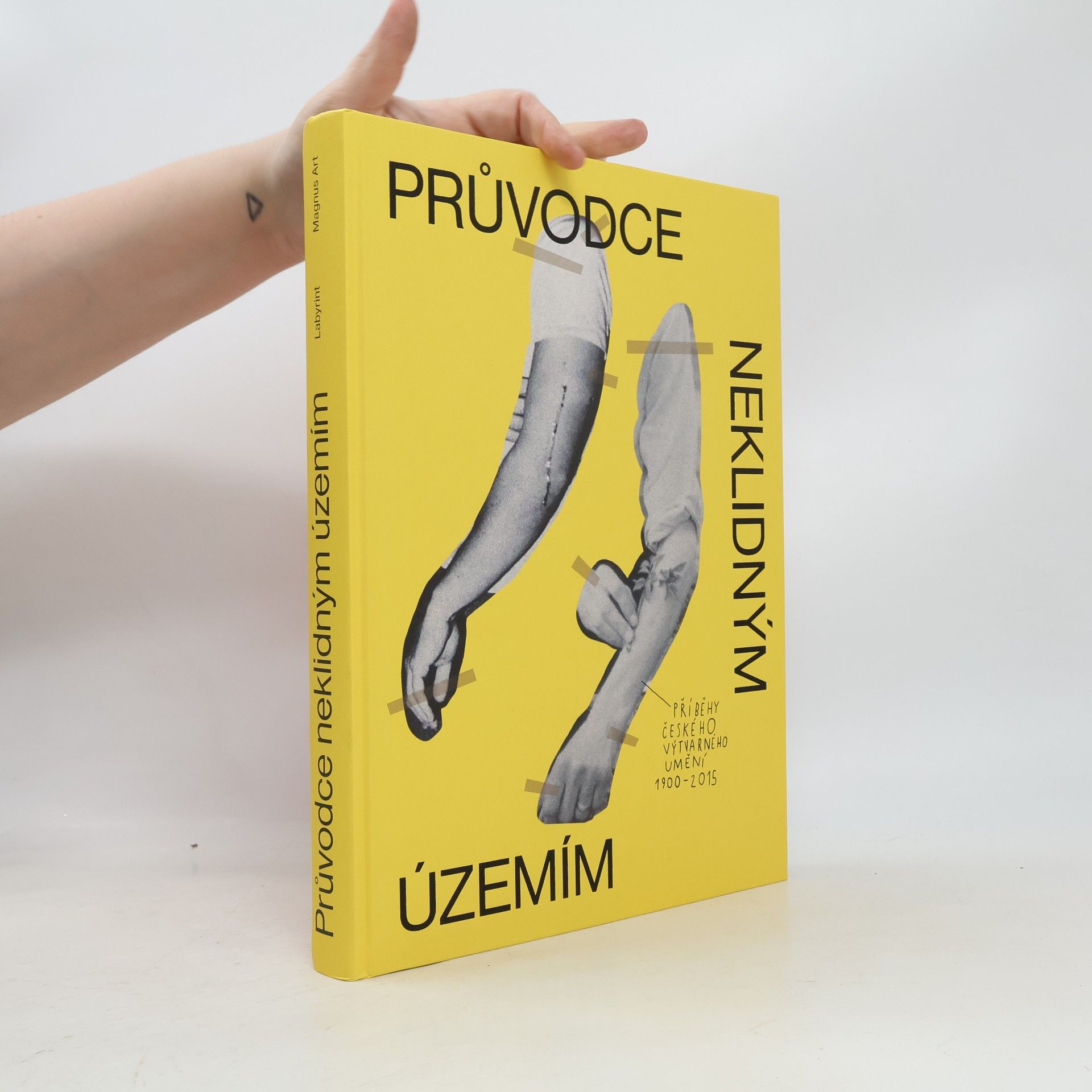 Průvodce neklidným územím. Příběhy českého výtvarného umění (1900-2015)